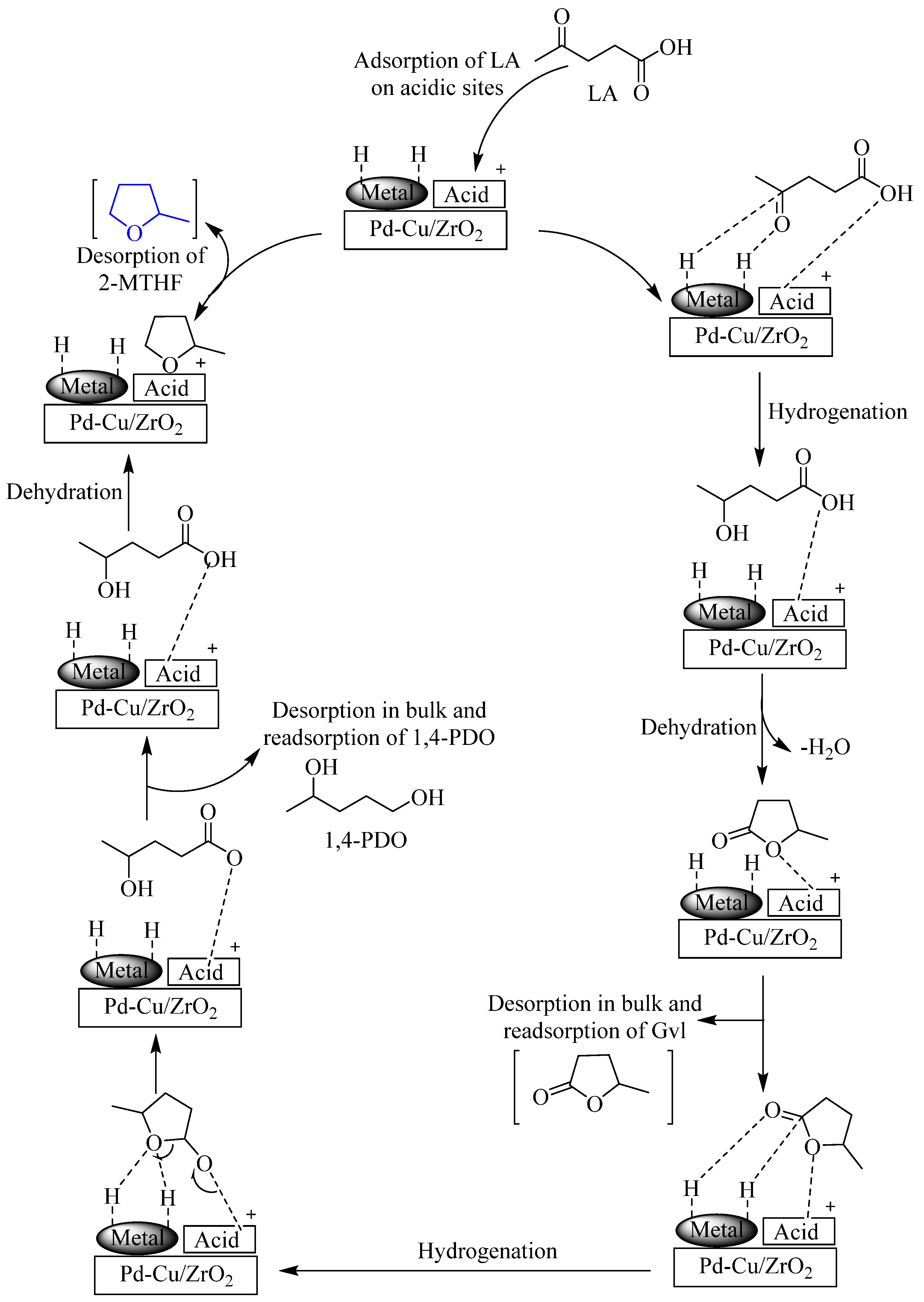 Molecules 29 00242 sch005