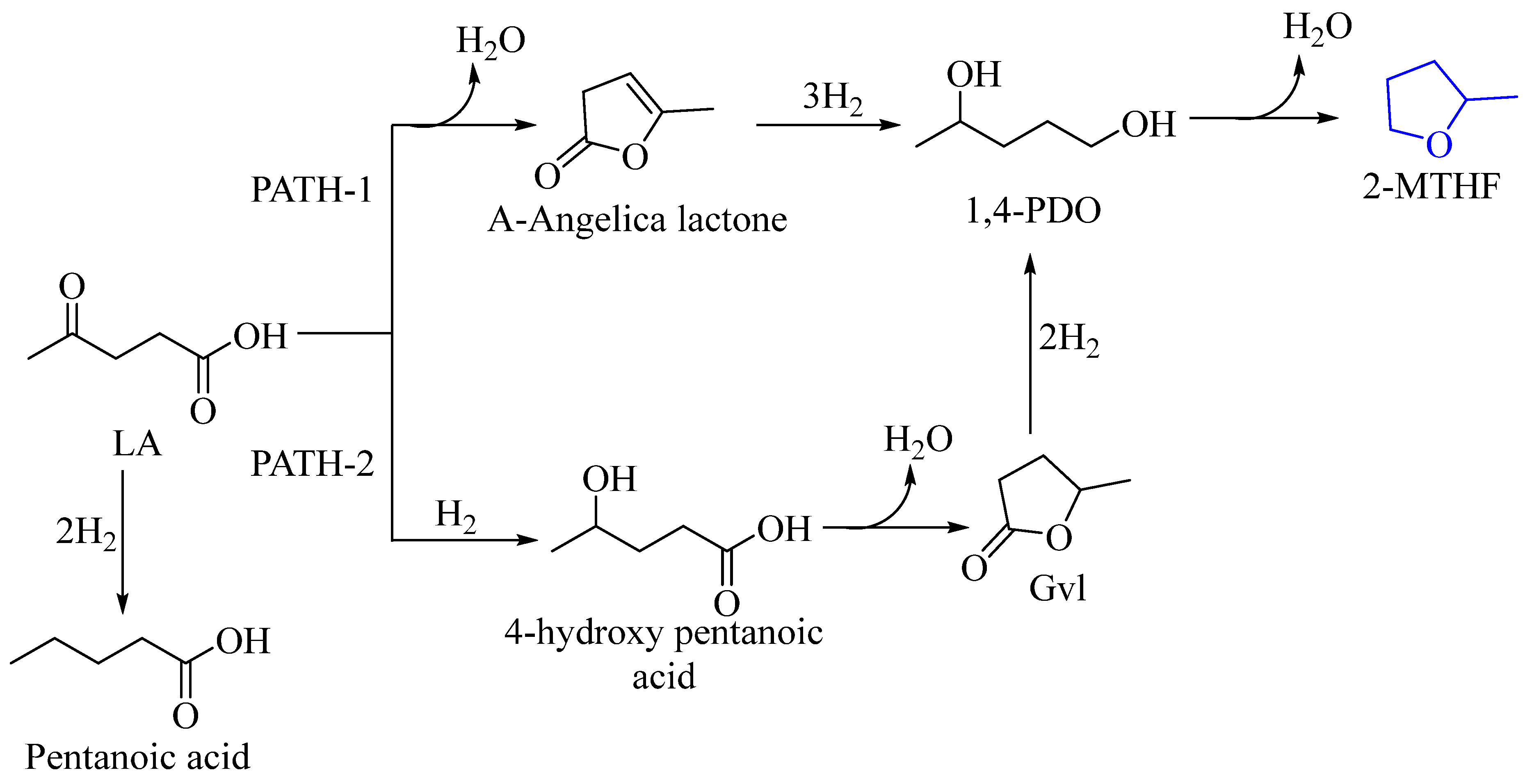 Molecules 29 00242 sch011
