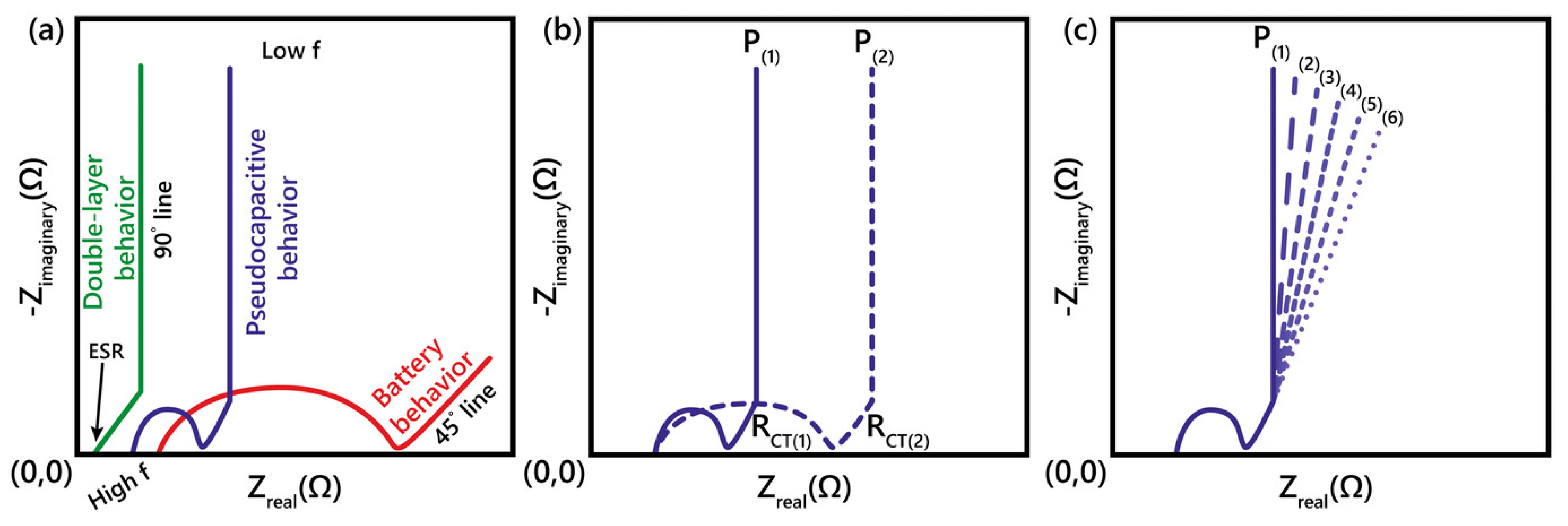 Molecules 29 00243 g006 Molecules 29 00243 g006