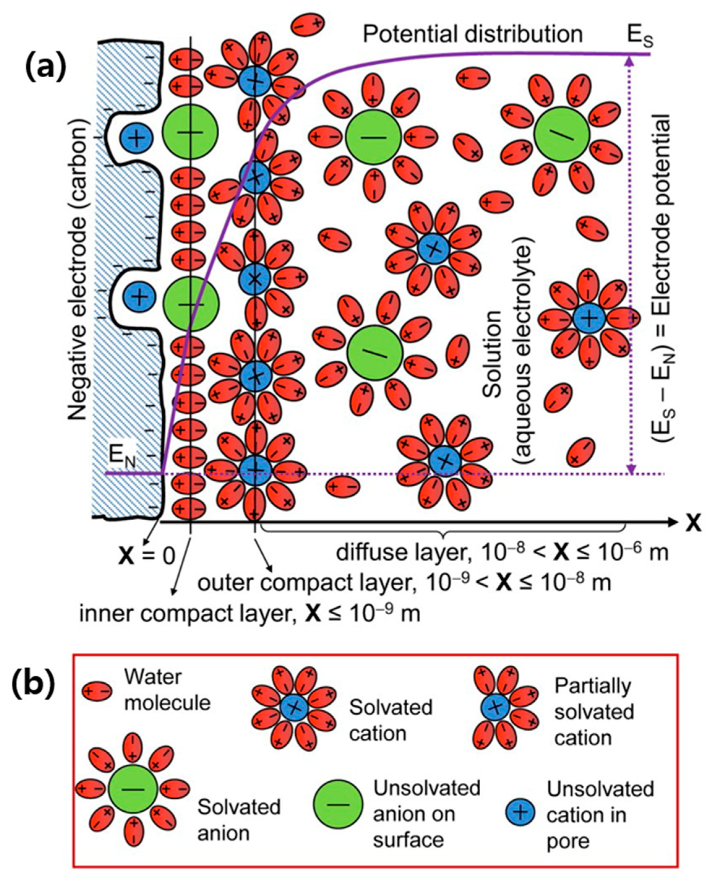 Molecules 29 00243 g008 Molecules 29 00243 g008