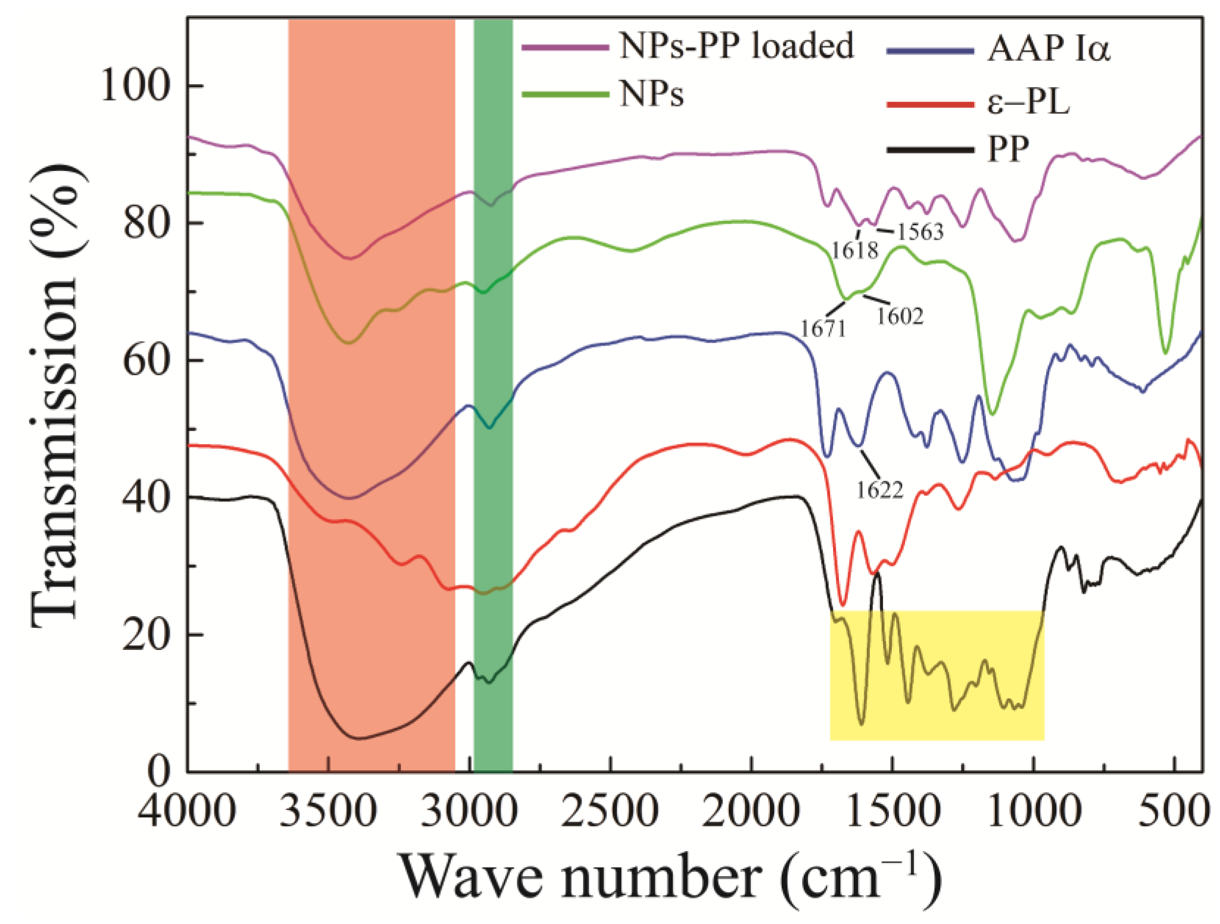 Molecules 29 00245 g005