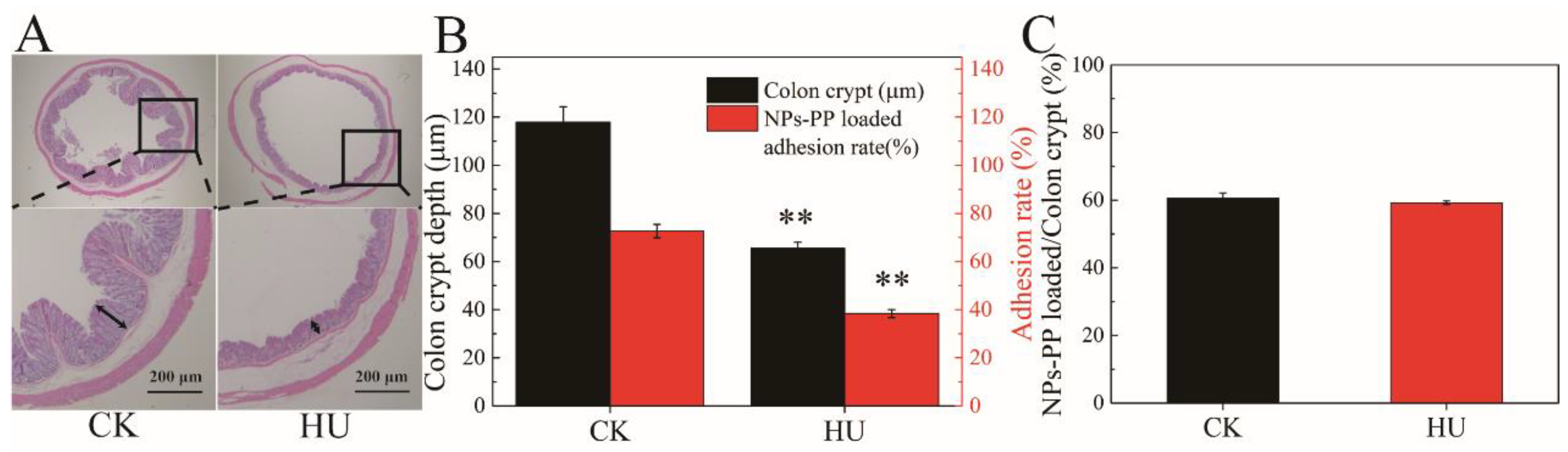 Molecules 29 00245 g007