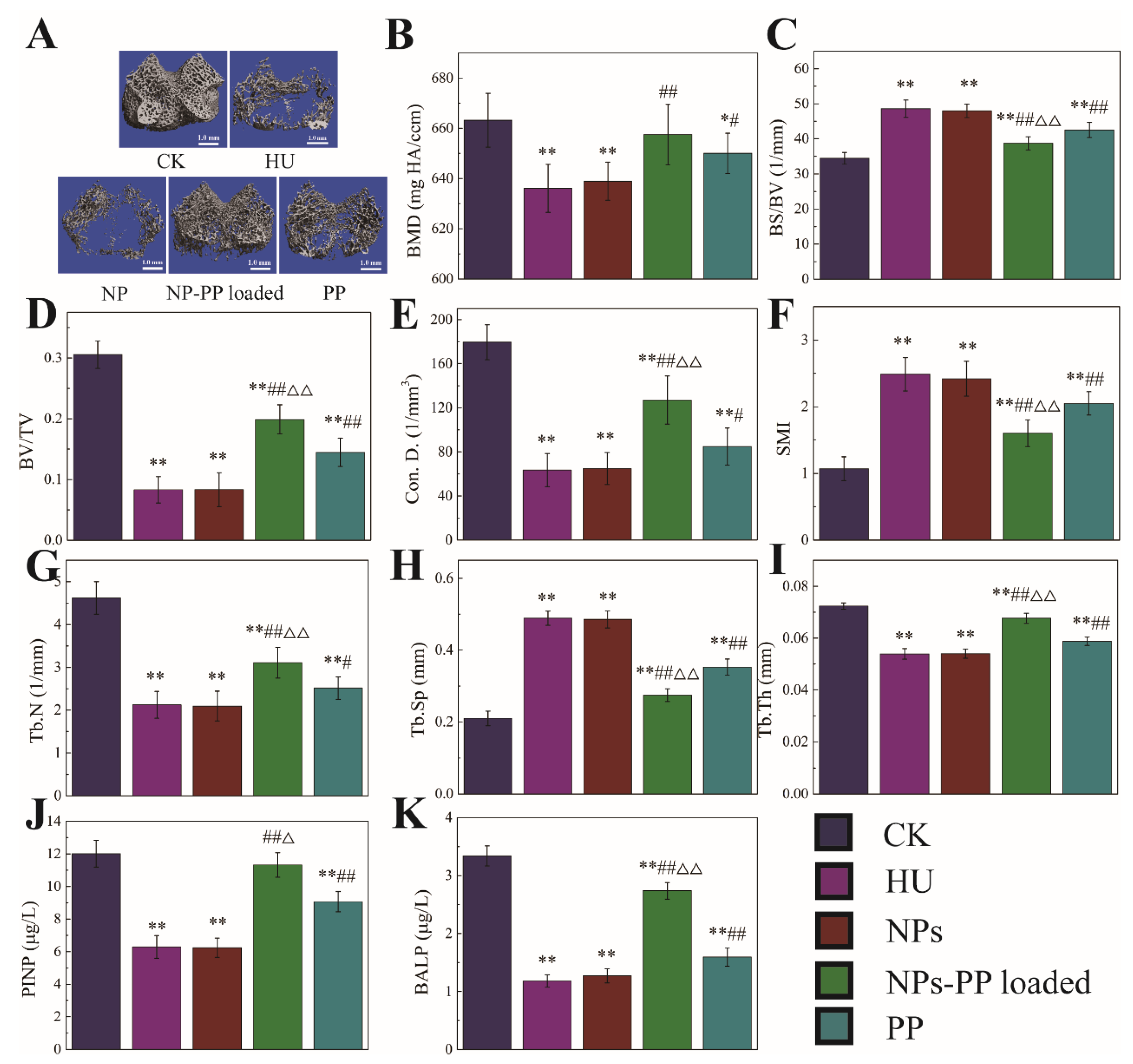 Molecules 29 00245 g008
