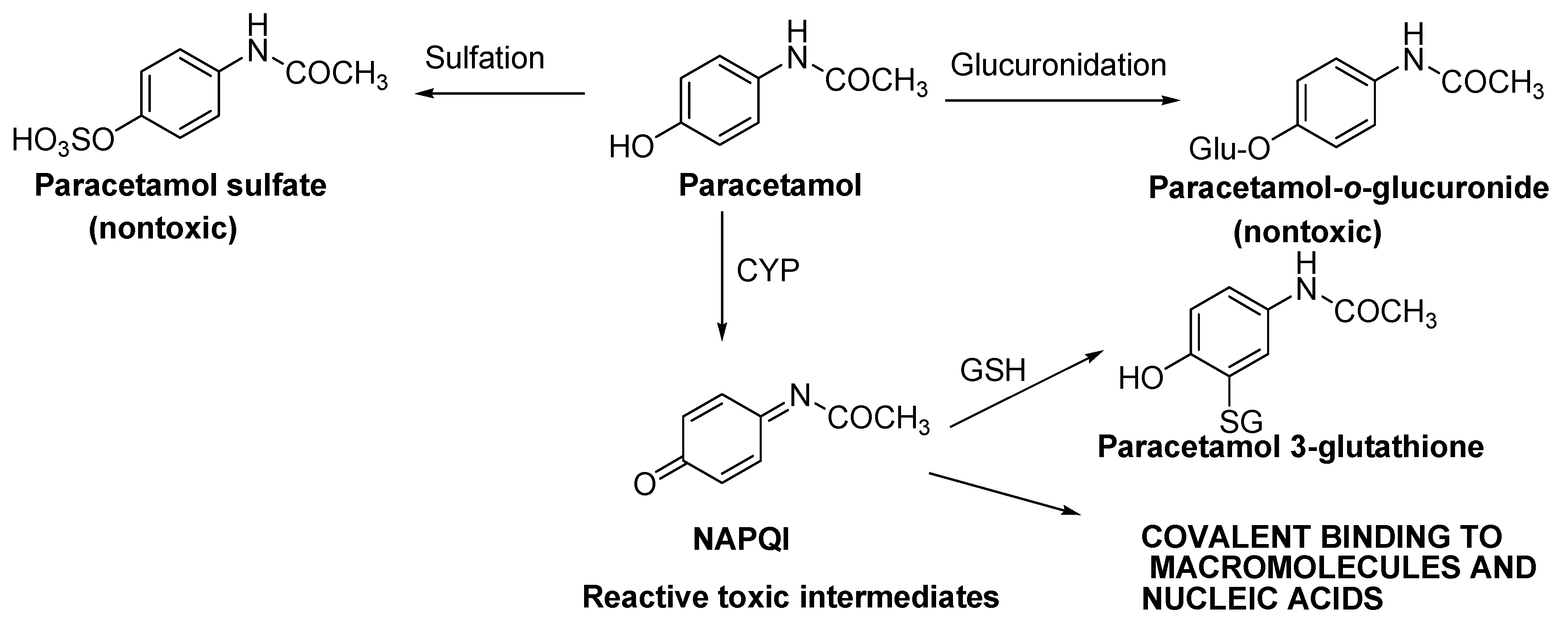 Molecules 29 00249 sch001