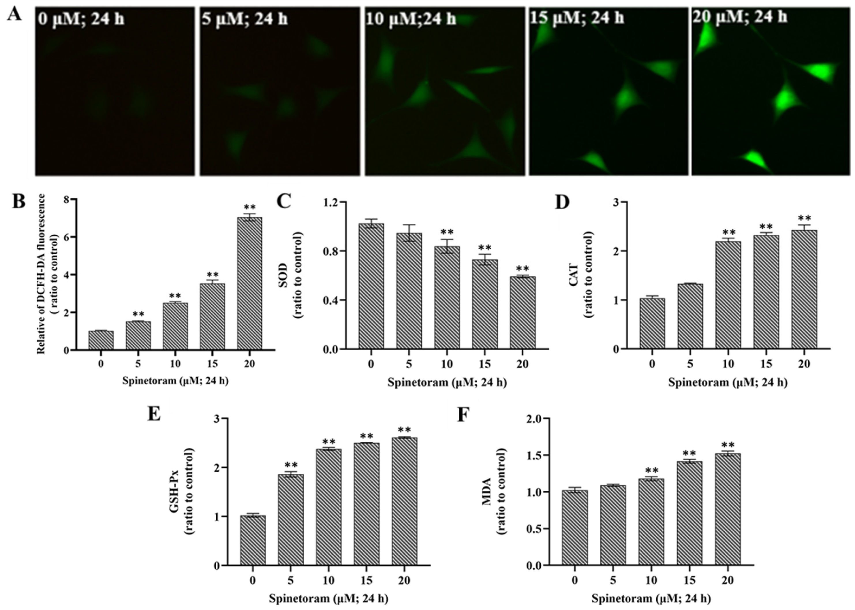 Molecules 29 00253 g003