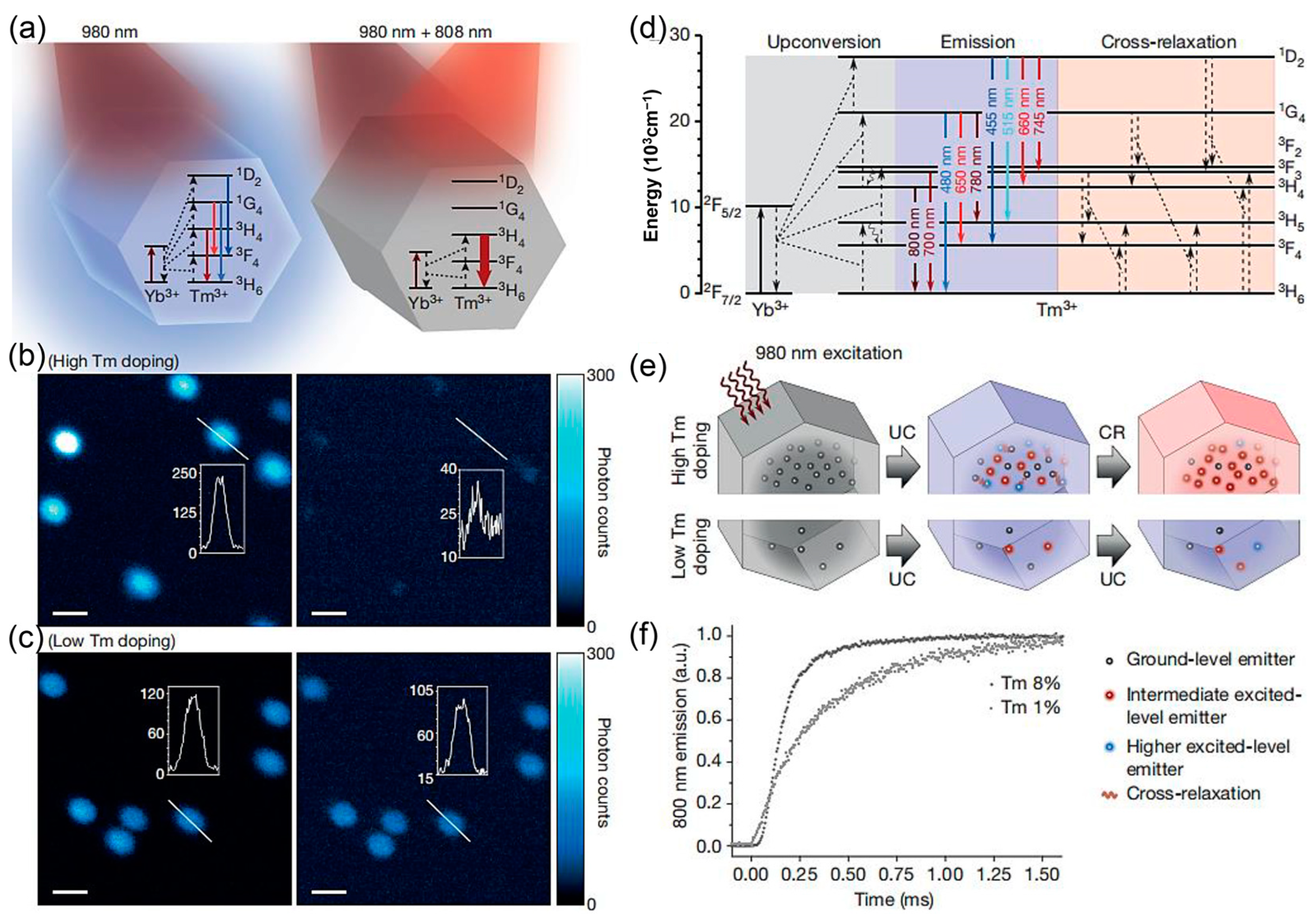 Molecules 29 00254 g005