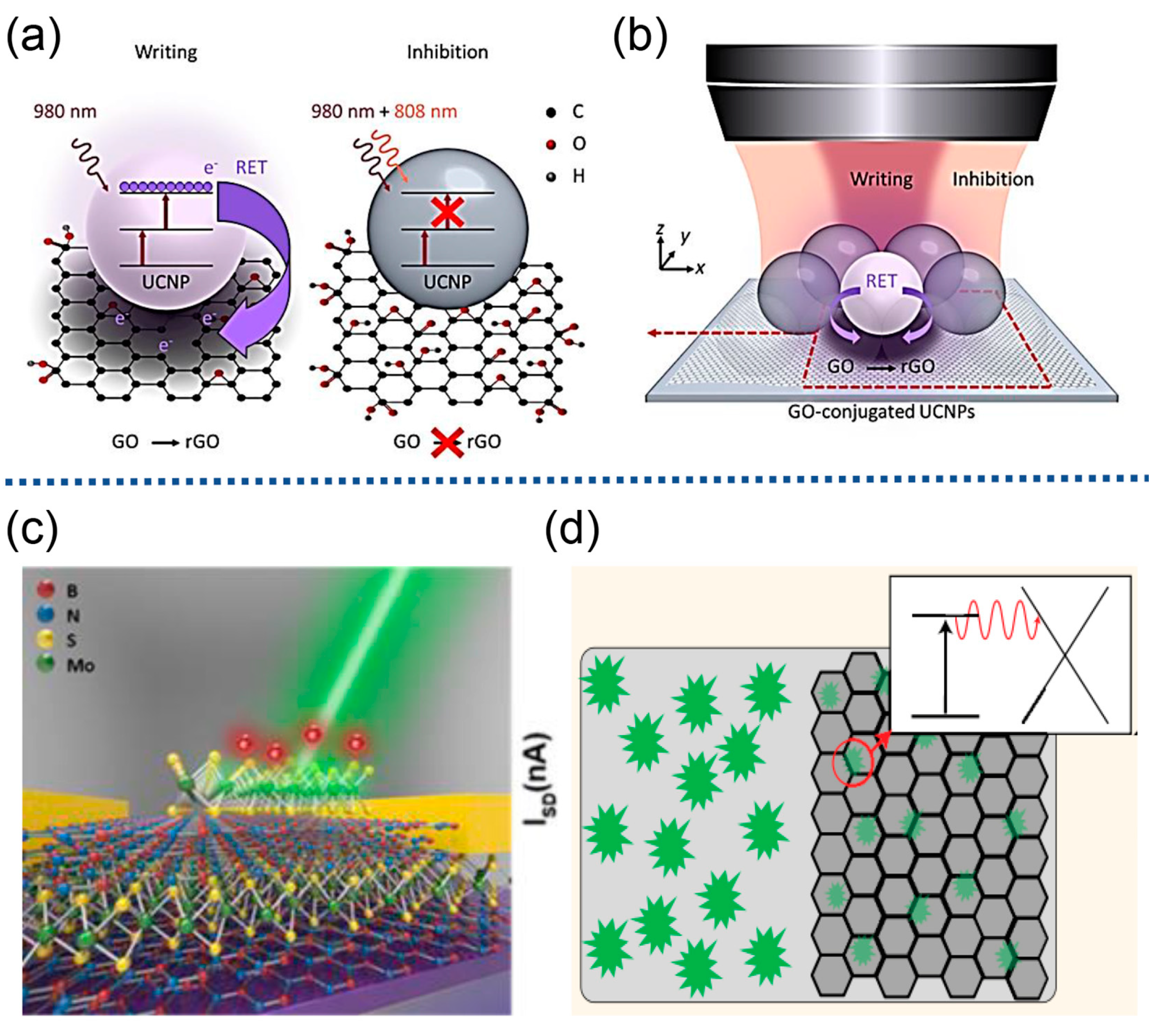 Molecules 29 00254 g007
