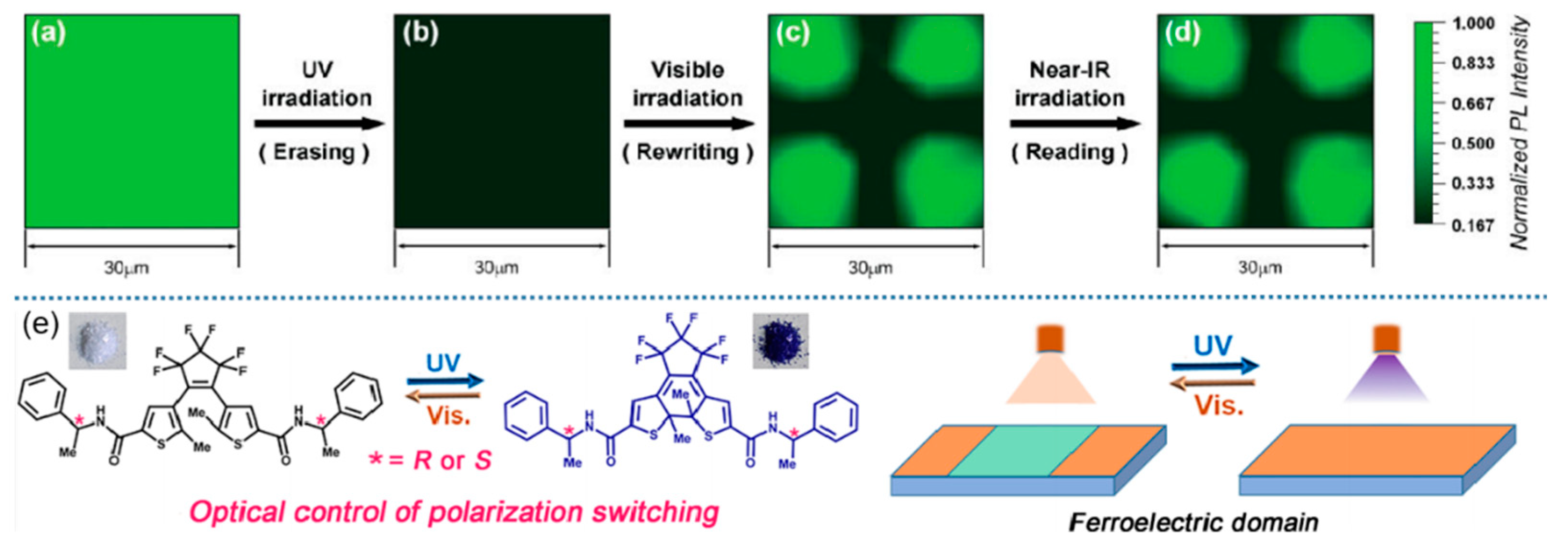 Molecules 29 00254 g009