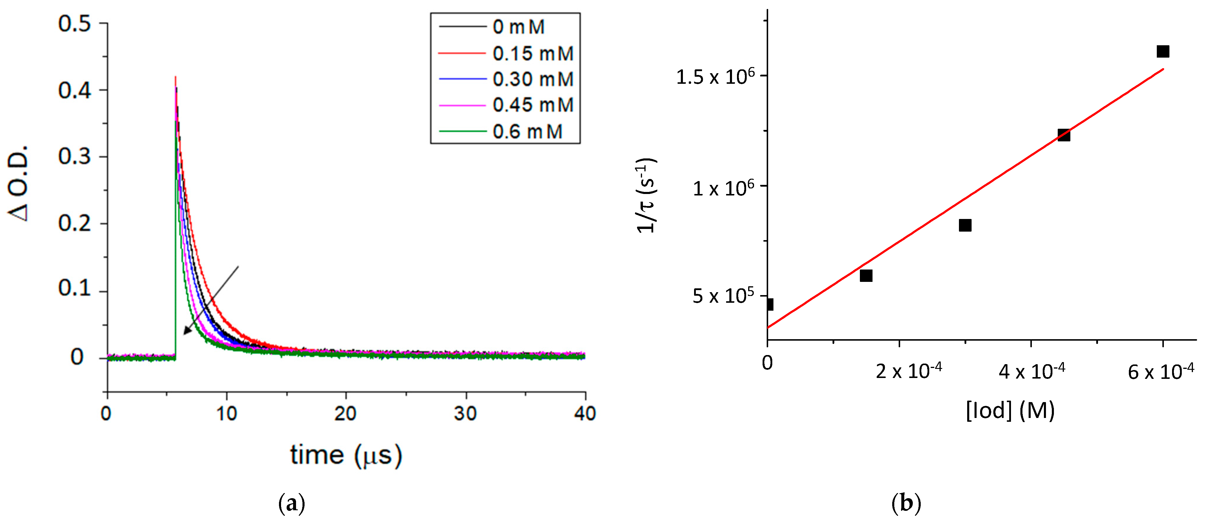 Molecules 29 00255 g004