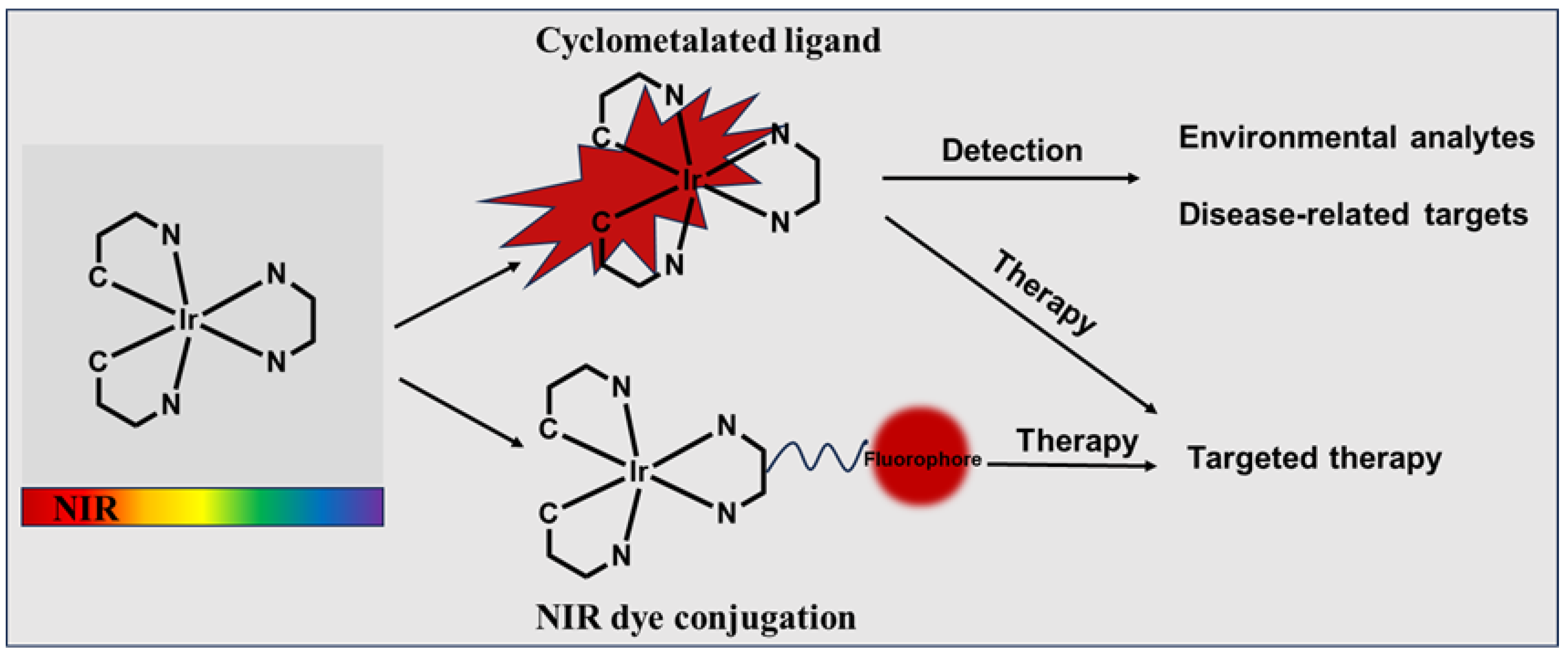Molecules 29 00256 g001