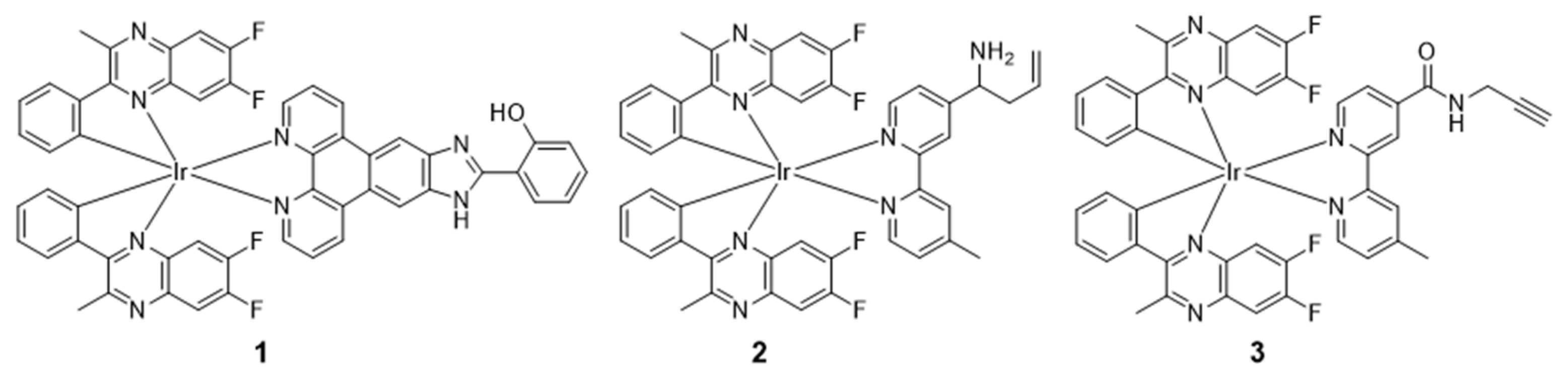 Molecules 29 00256 g003