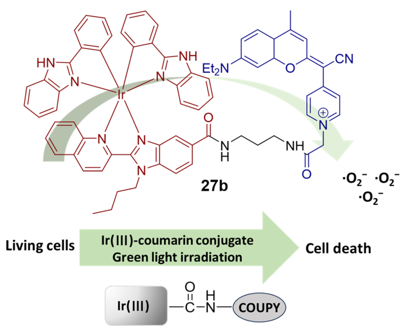 Molecules 29 00256 g016