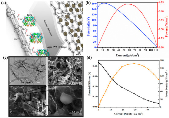 Molecules 29 00257 g003