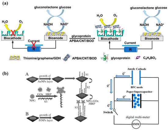 Molecules 29 00257 g008
