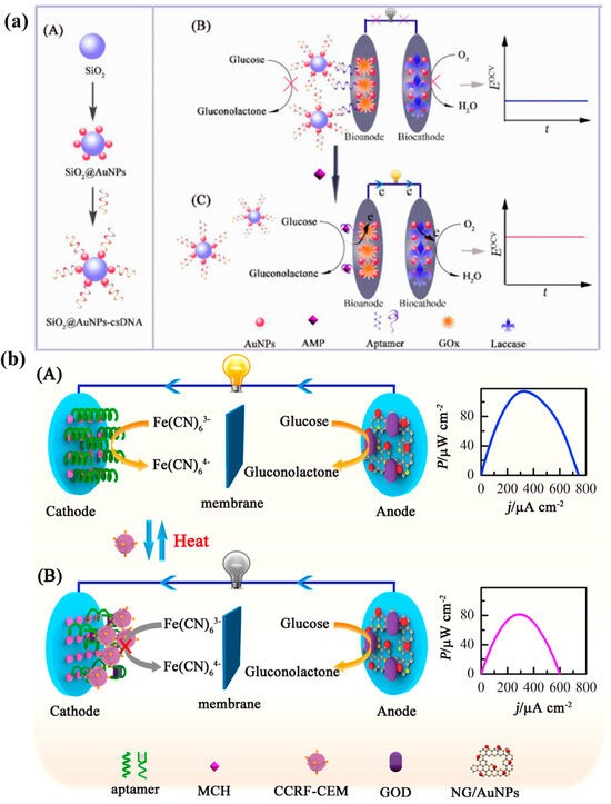 Molecules 29 00257 g009