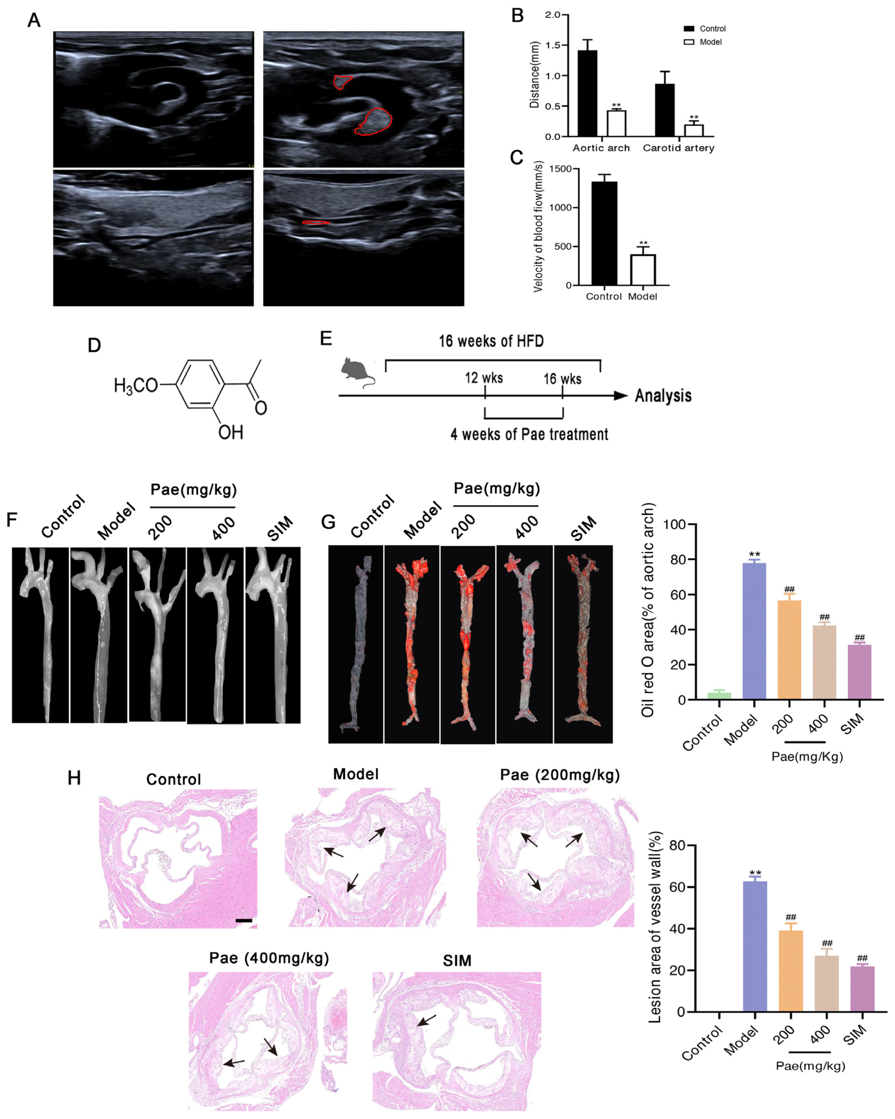 Molecules 29 00261 g001