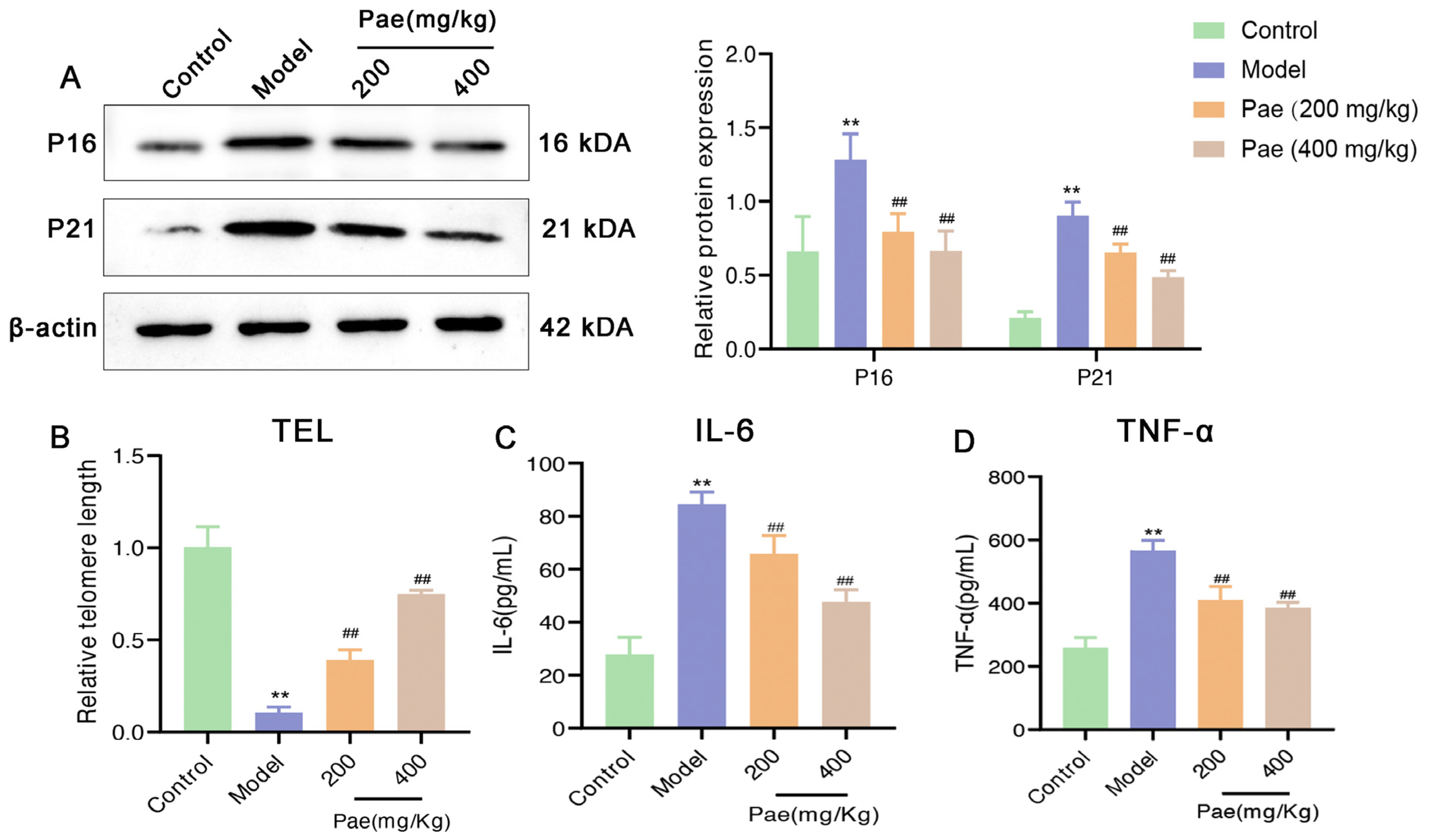 Molecules 29 00261 g002