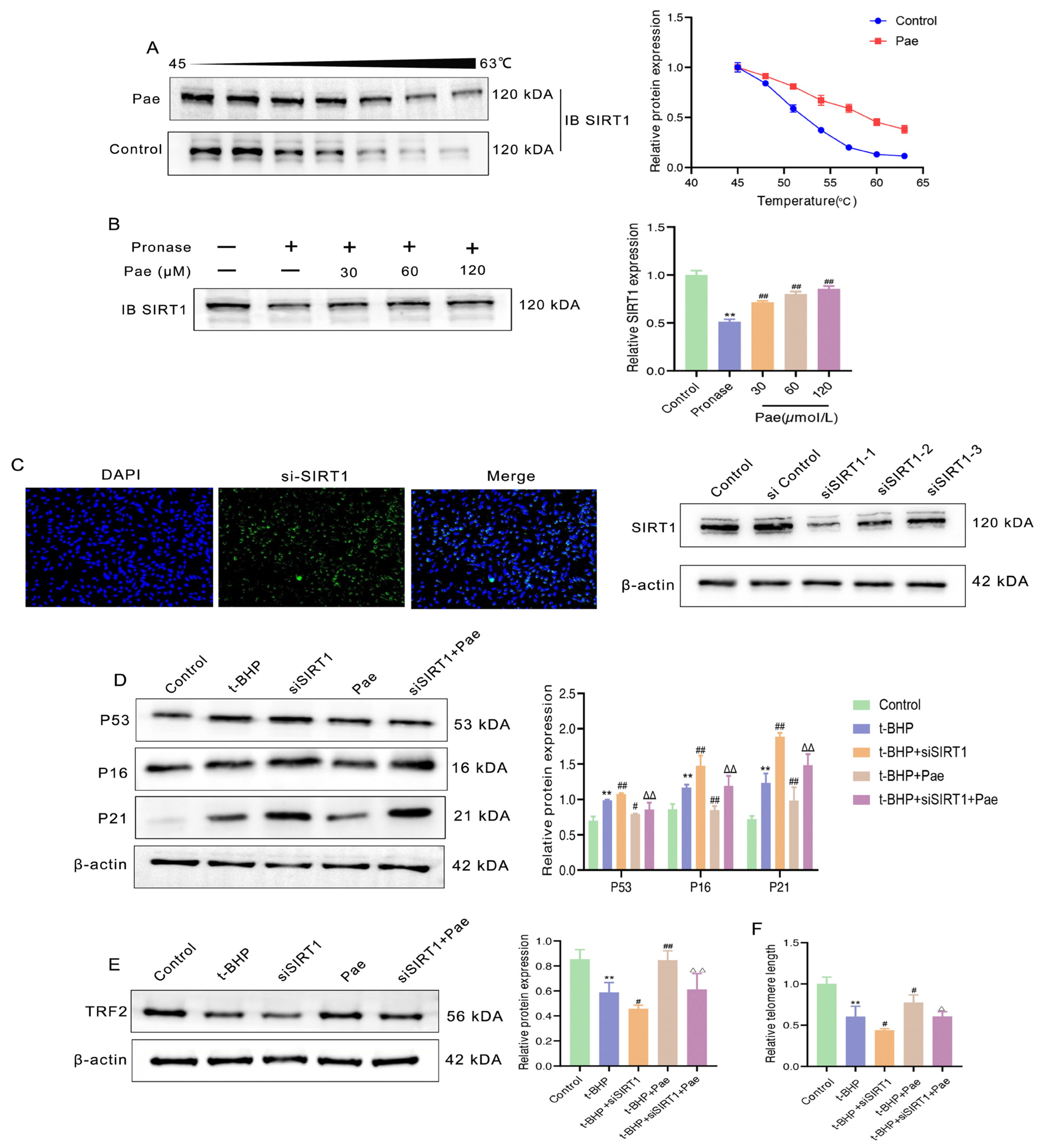 Molecules 29 00261 g006