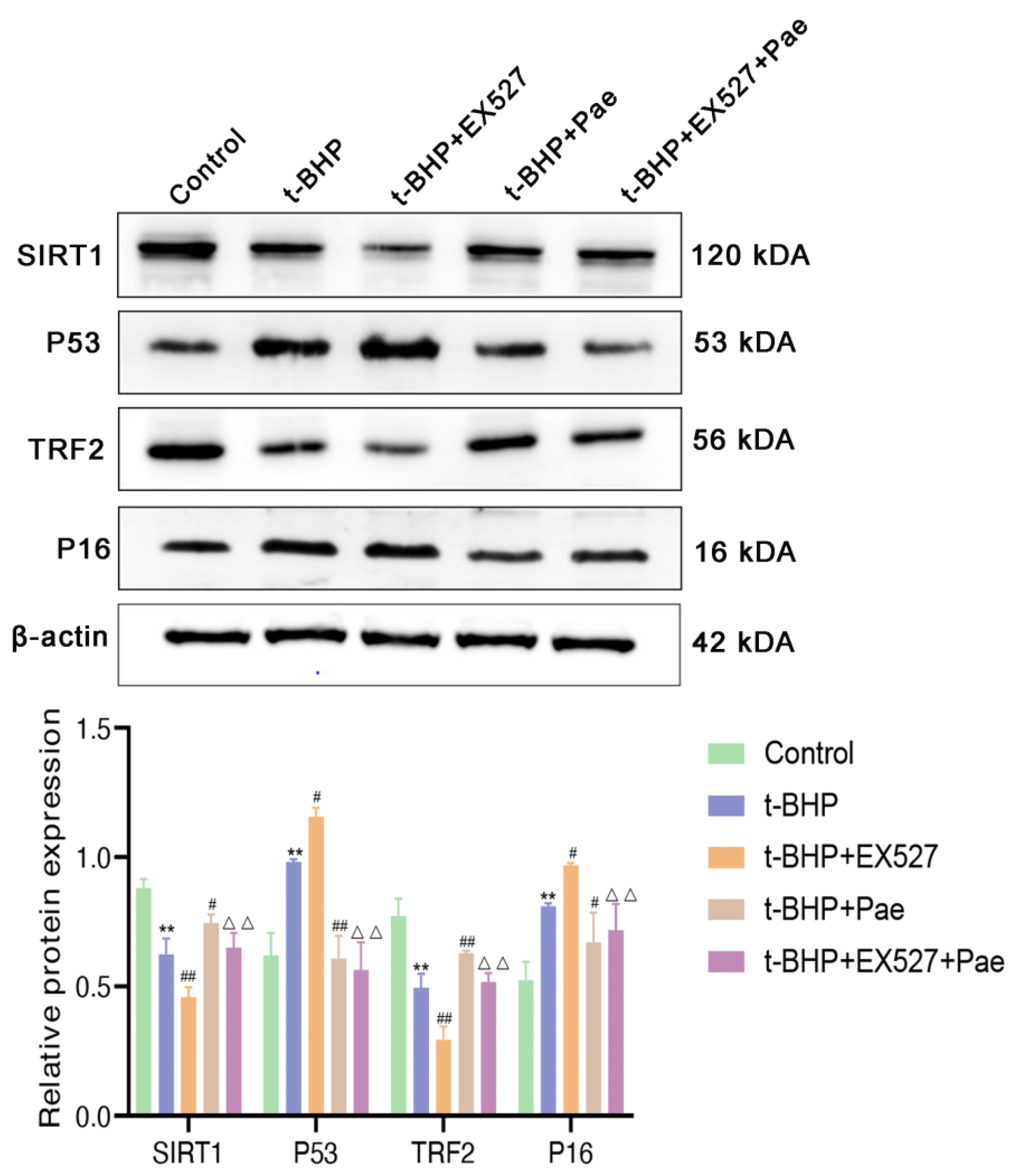 Molecules 29 00261 g007