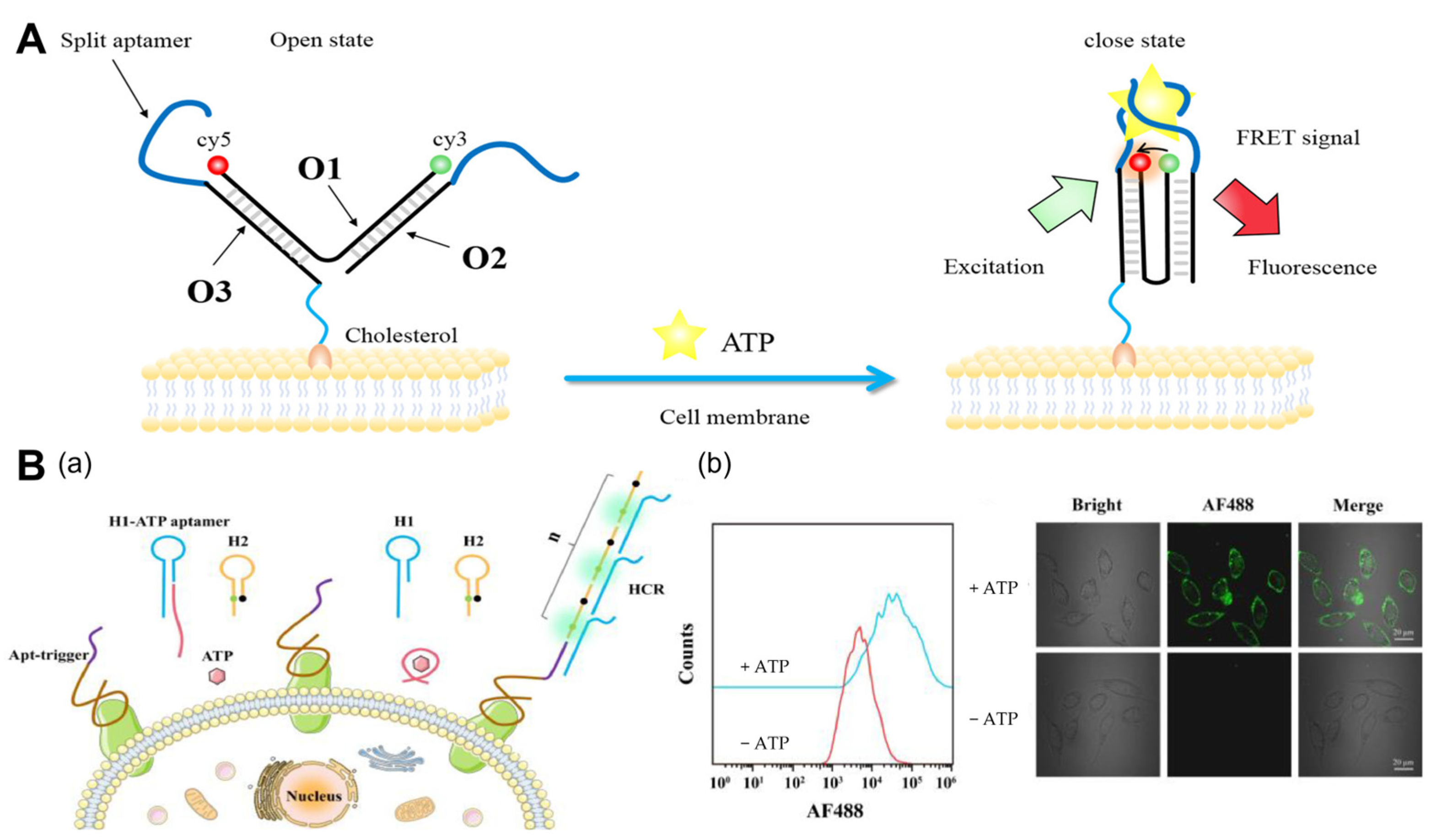 Molecules 29 00267 g001