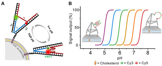 Molecules 29 00267 g002