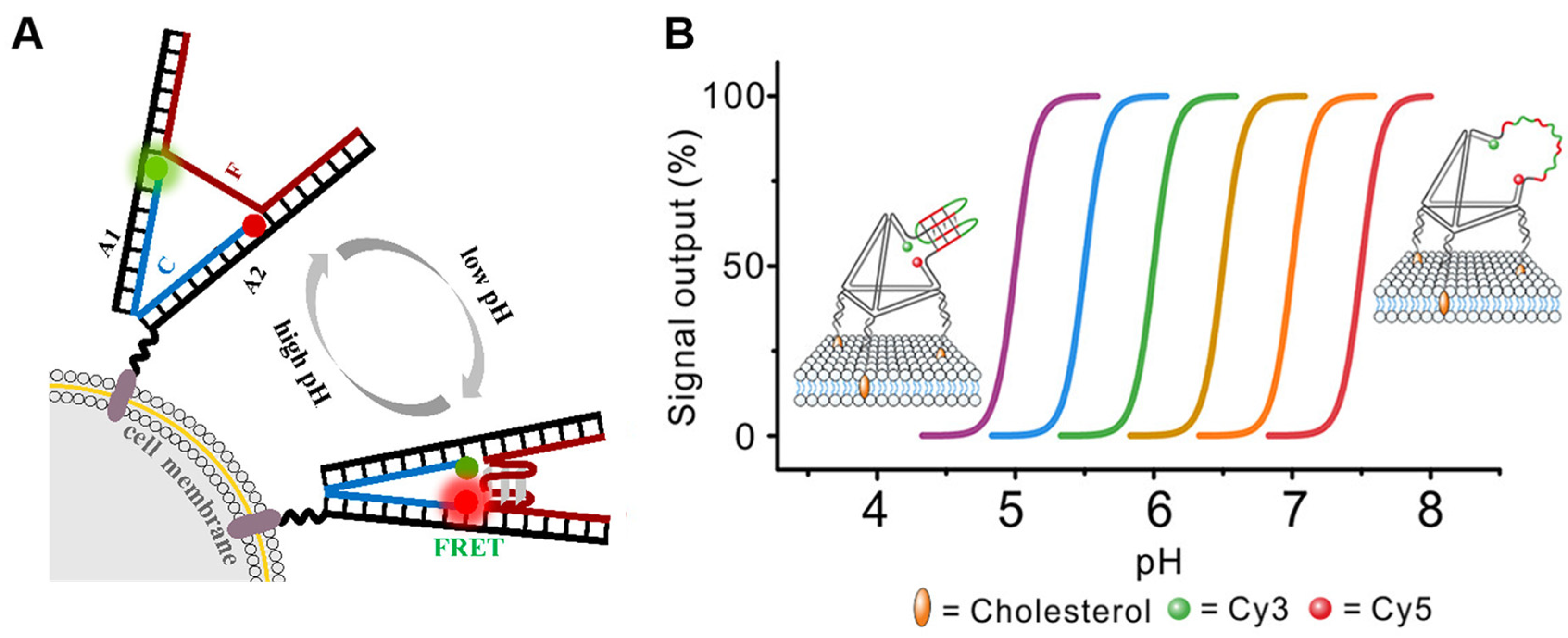 Molecules 29 00267 g002