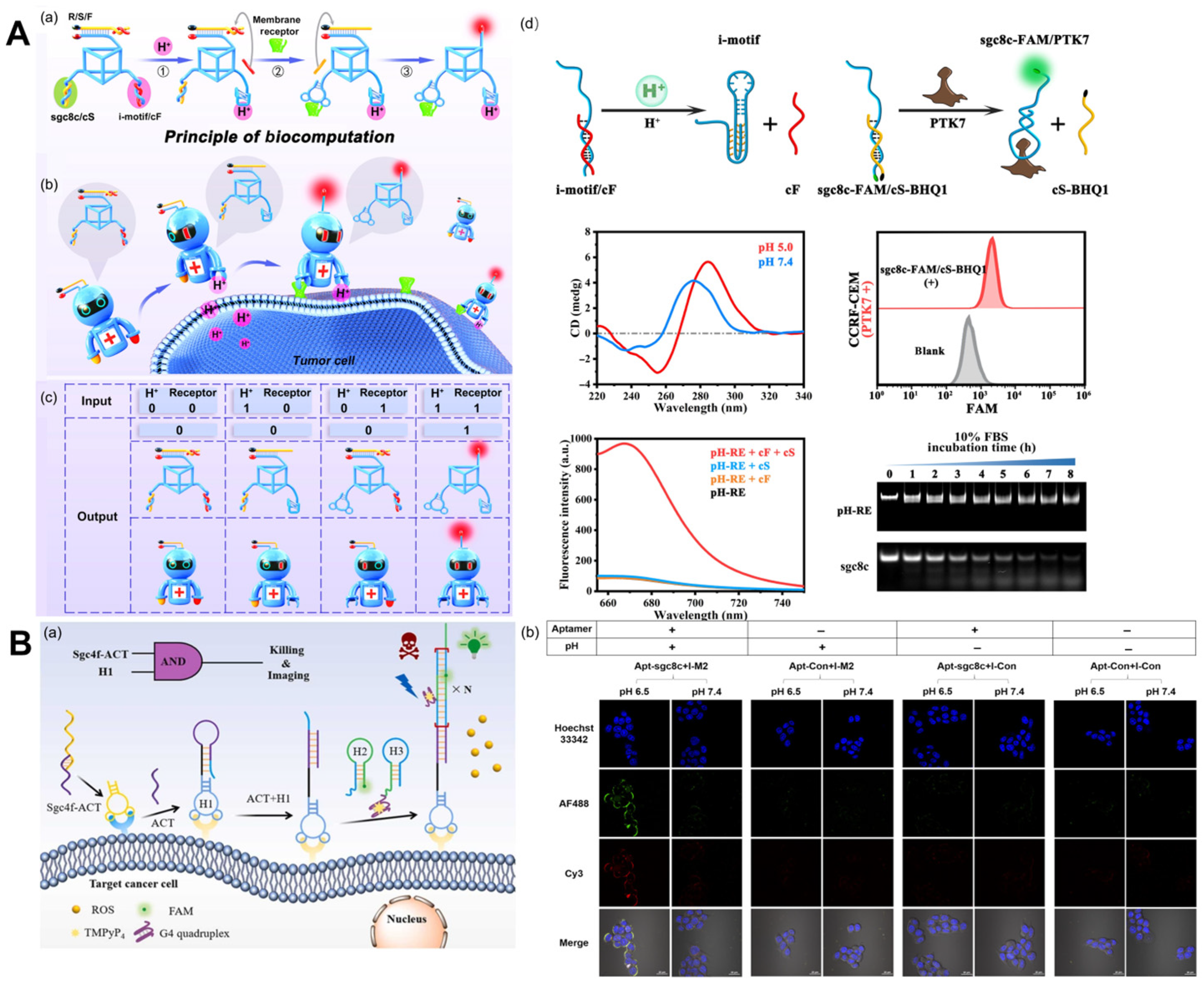 Molecules 29 00267 g004