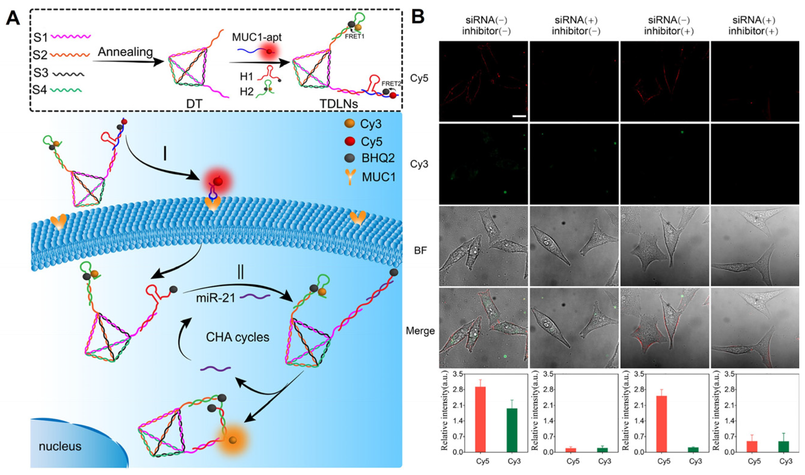 Molecules 29 00267 g005