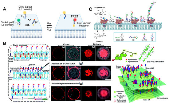 Molecules 29 00267 g006