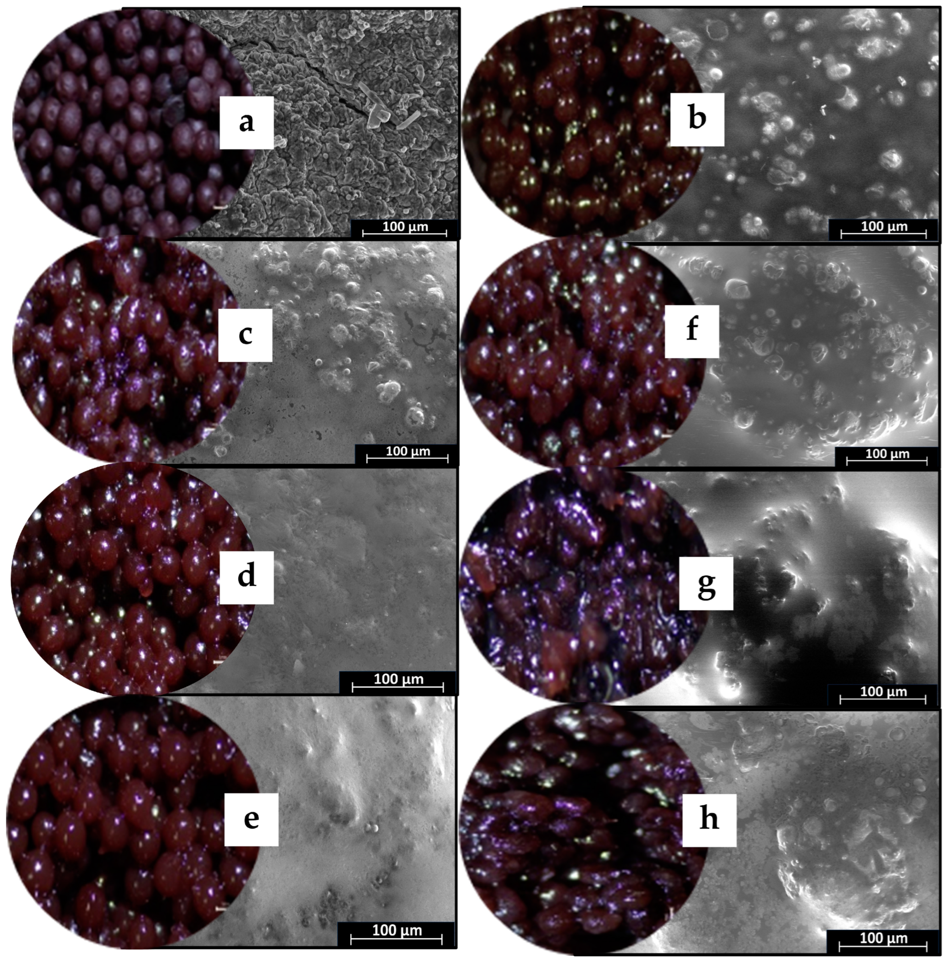 Molecules 29 00270 g002
