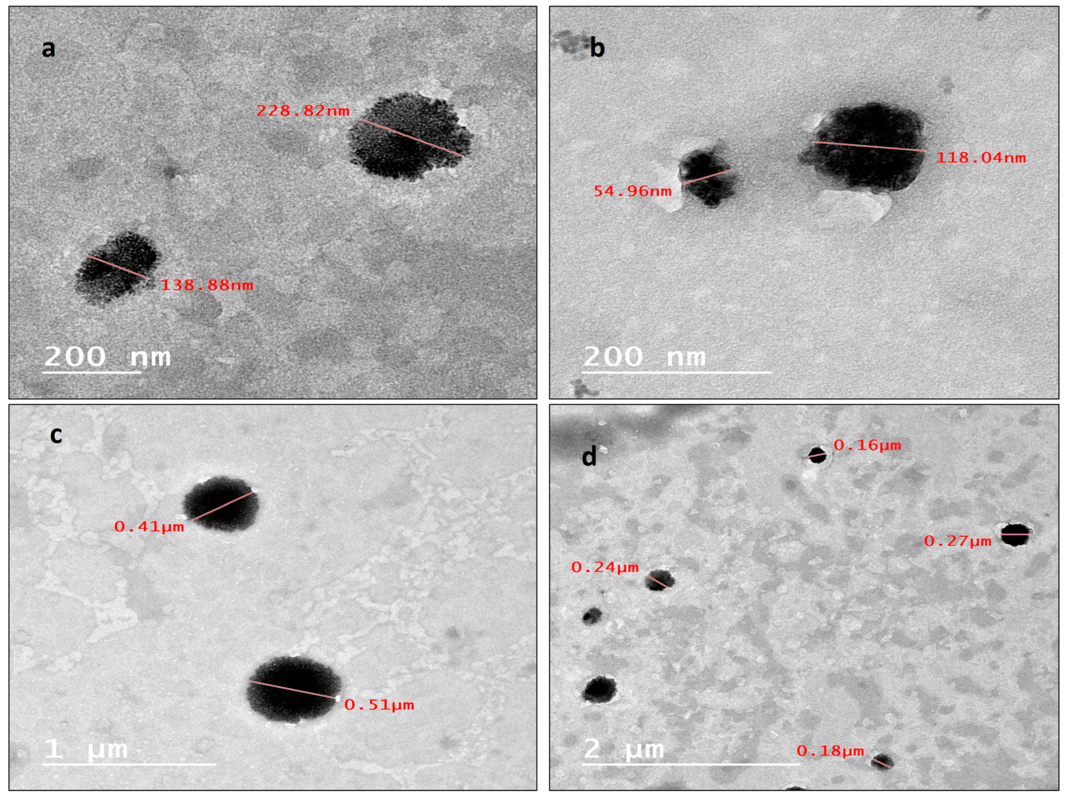 Molecules 29 00271 g002