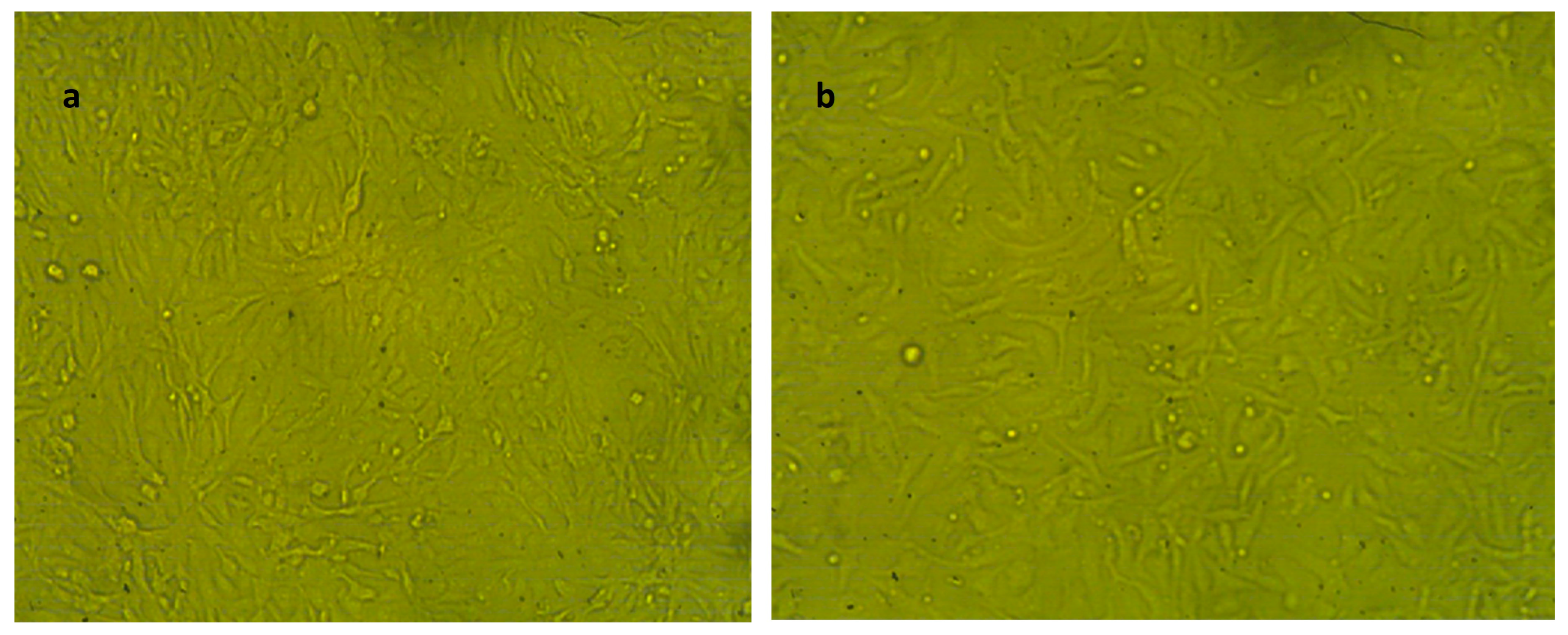 Molecules 29 00271 g007