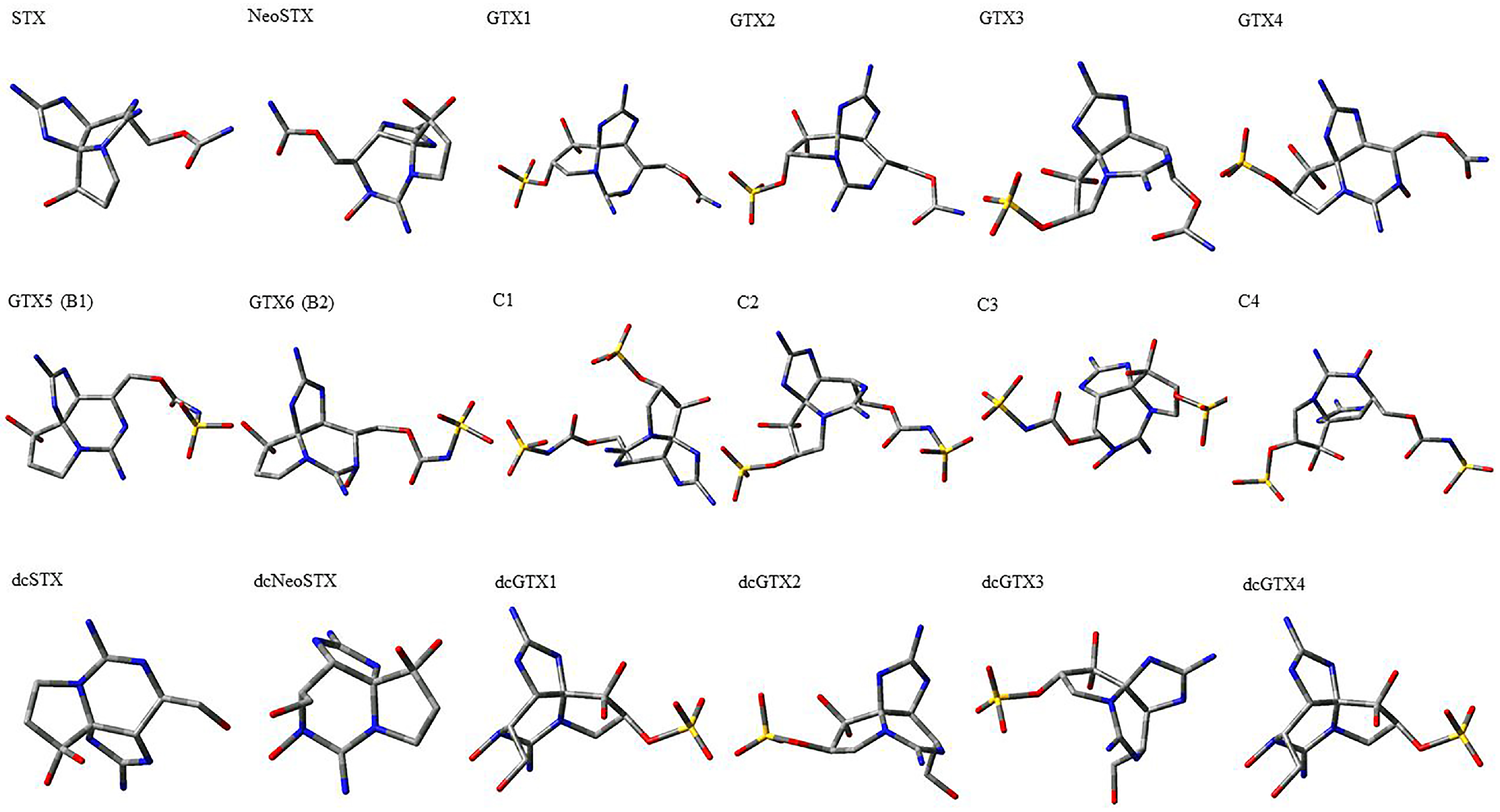 Molecules 29 00275 g001