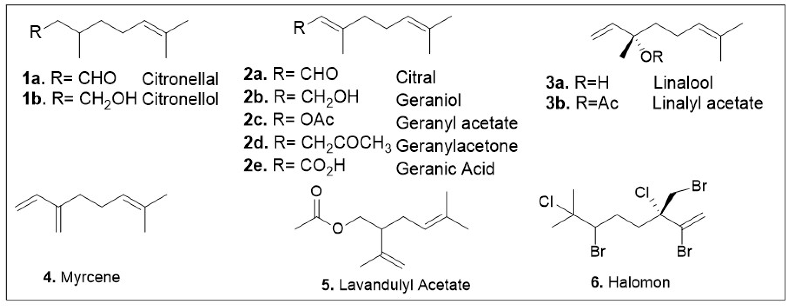 Molecules 29 00279 g003