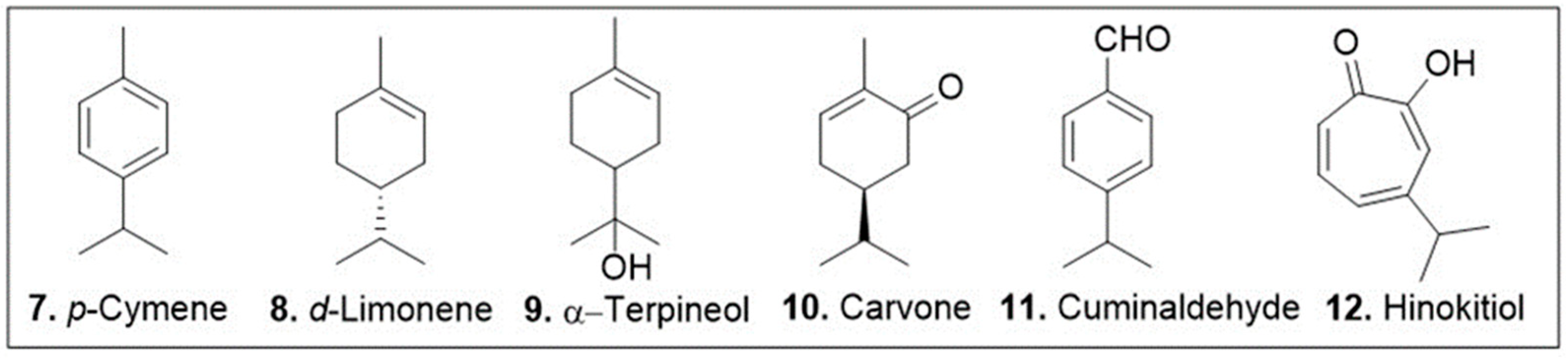 Molecules 29 00279 g004