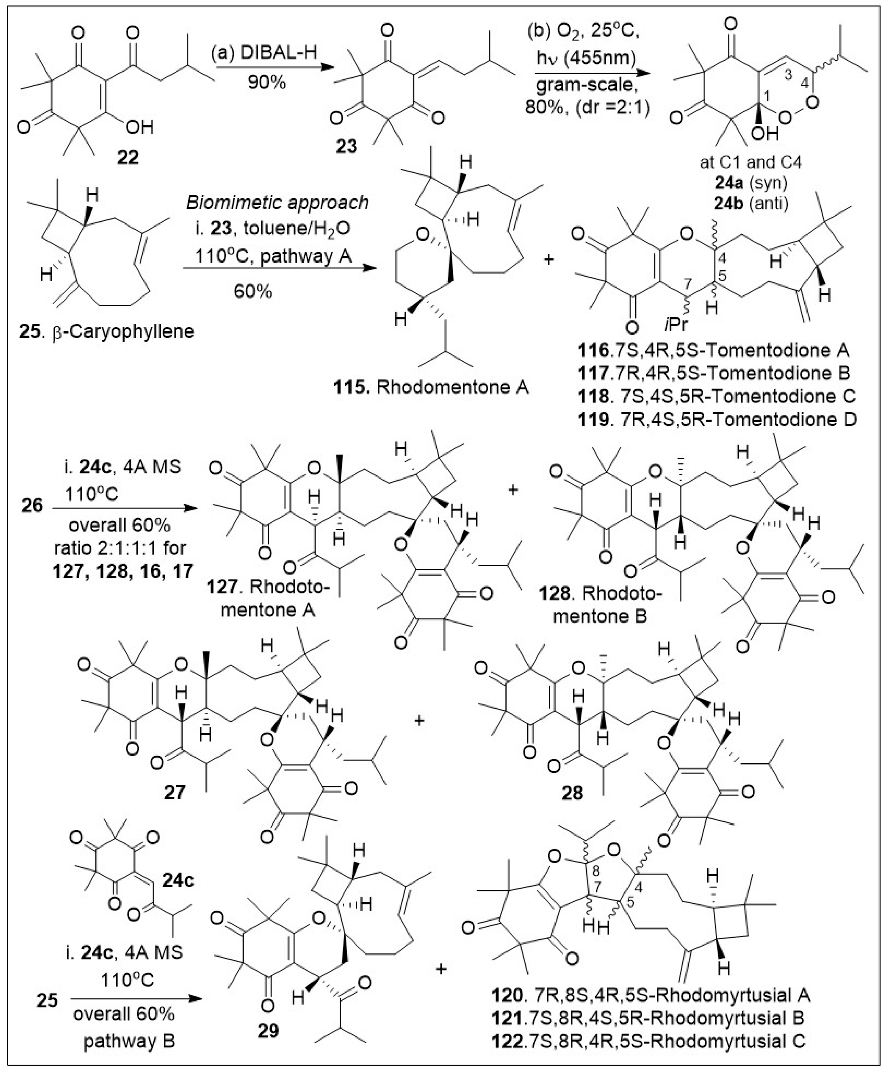 Molecules 29 00279 sch002