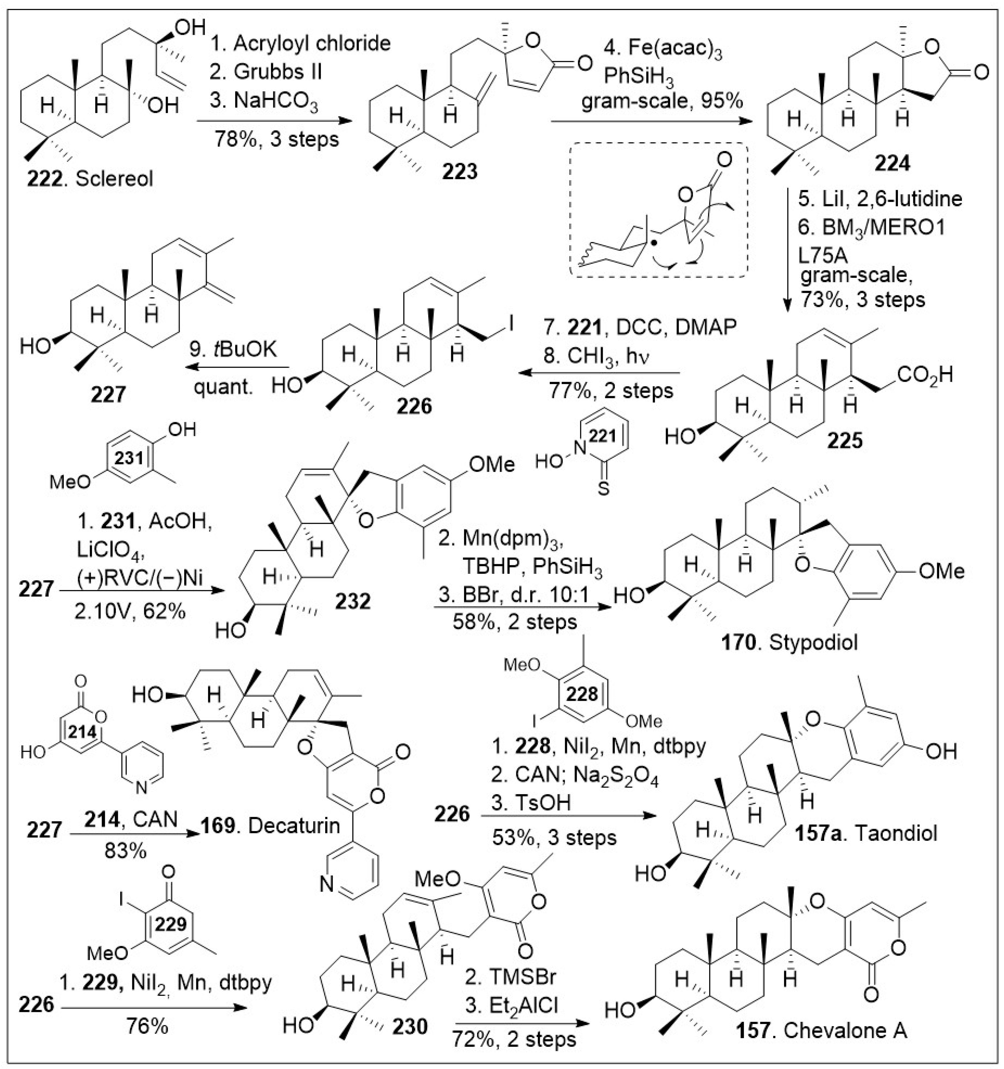 Molecules 29 00279 sch017