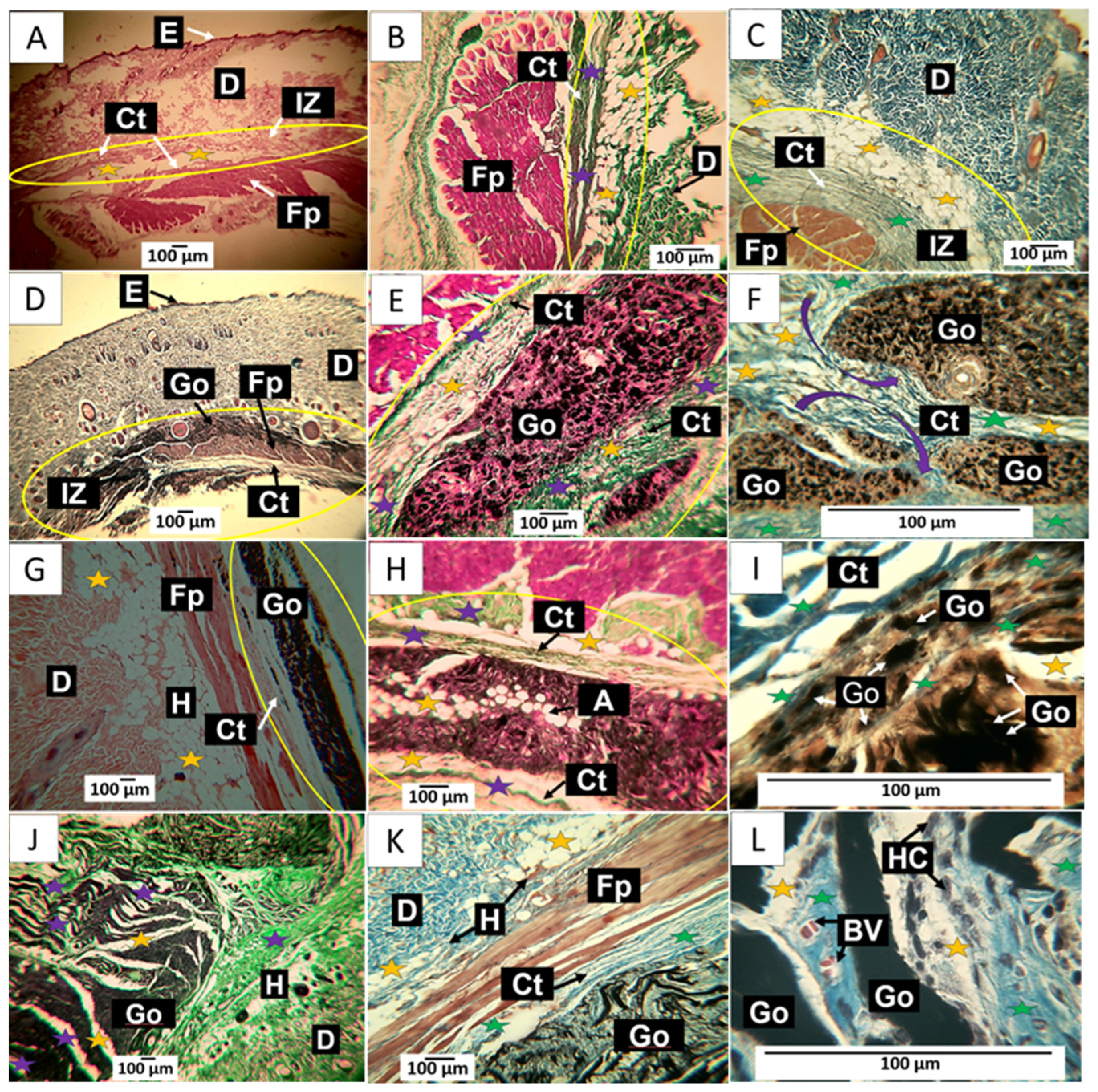 Molecules 29 00281 g010