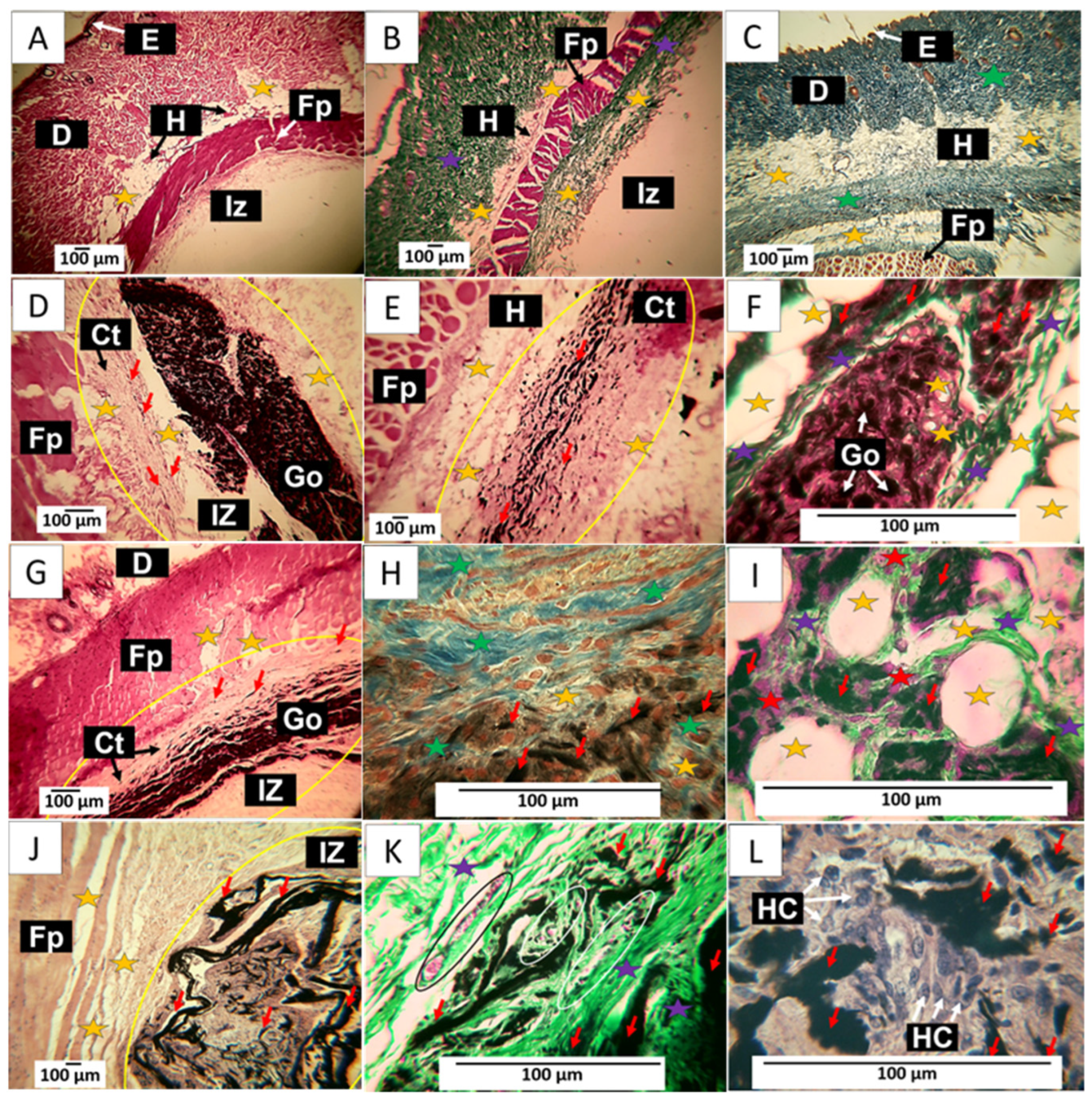 Molecules 29 00281 g011