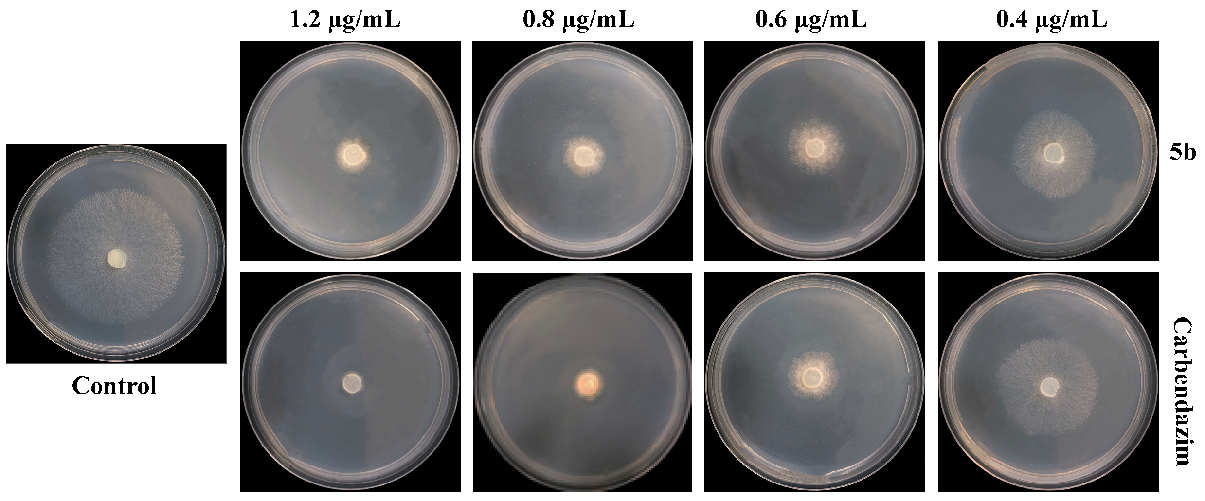 Molecules 29 00285 g003