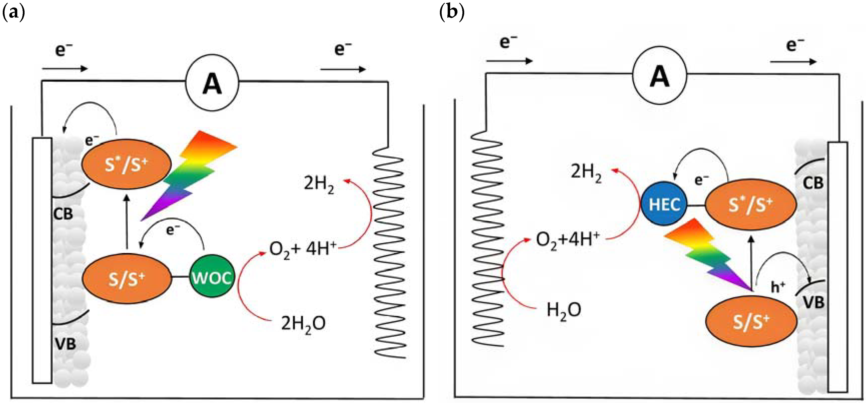 Molecules 29 00293 g003