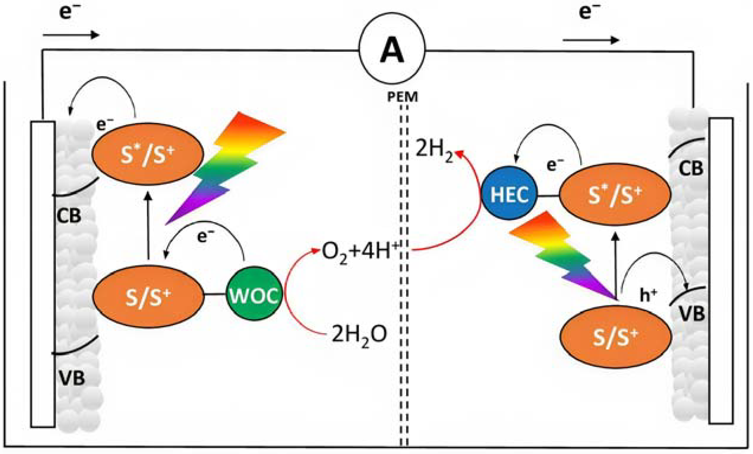 Molecules 29 00293 g005