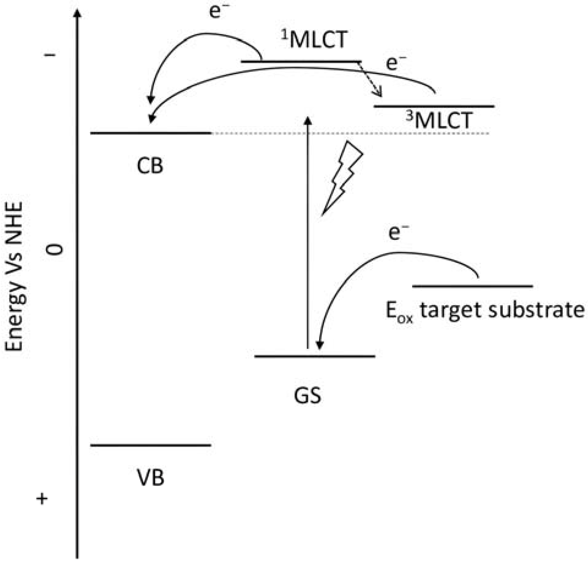 Molecules 29 00293 g006