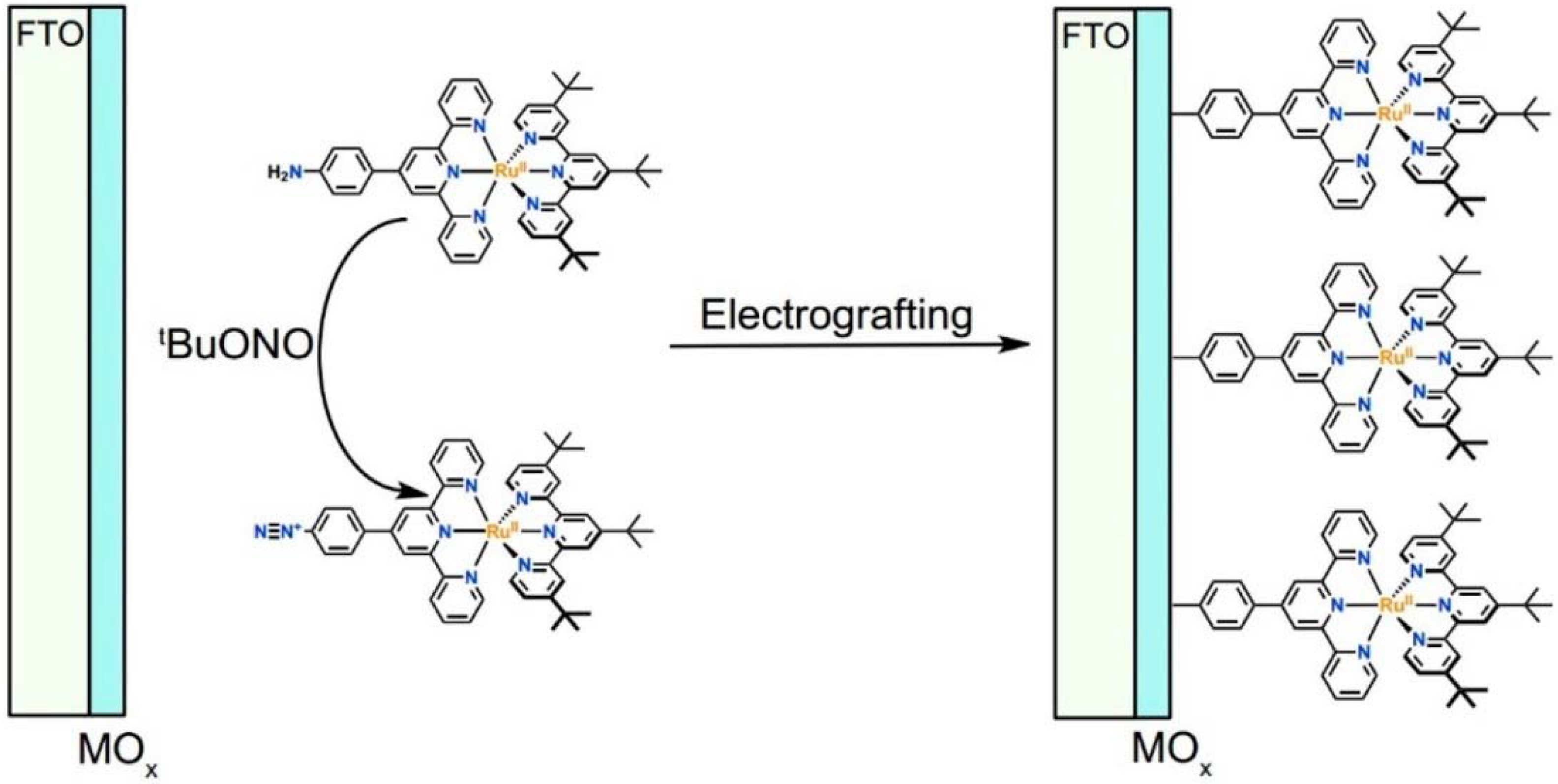 Molecules 29 00293 g008