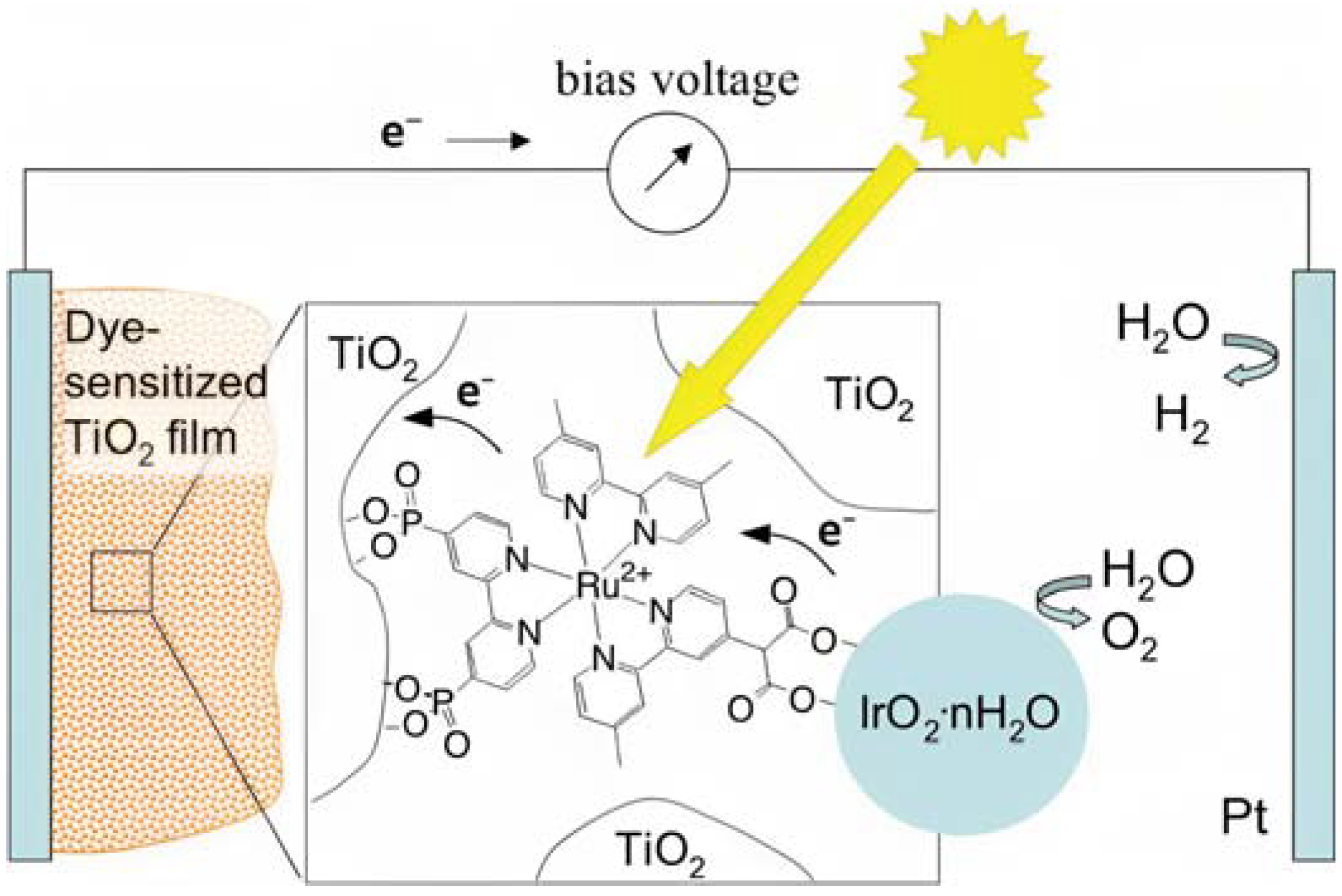 Molecules 29 00293 g012
