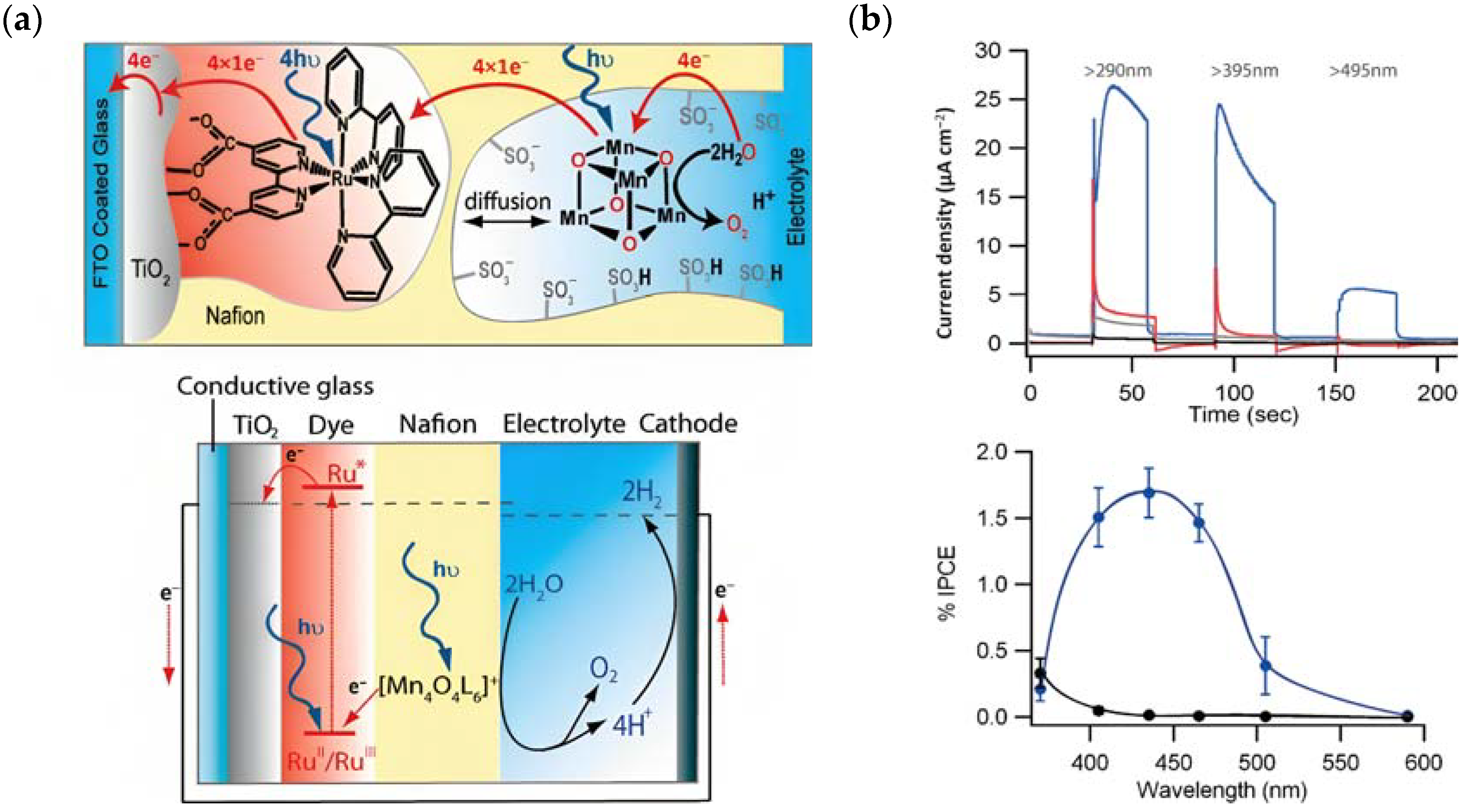 Molecules 29 00293 g013