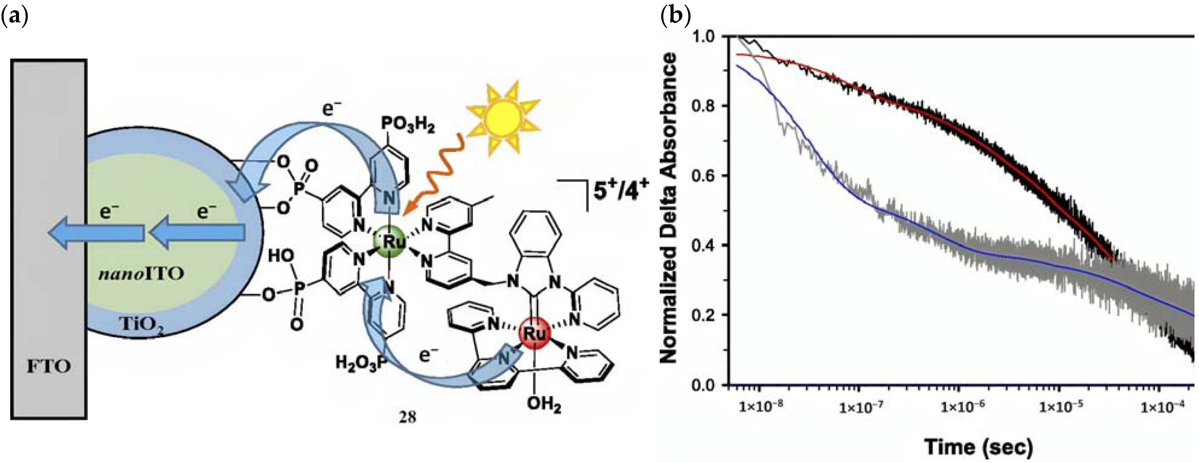 Molecules 29 00293 g017