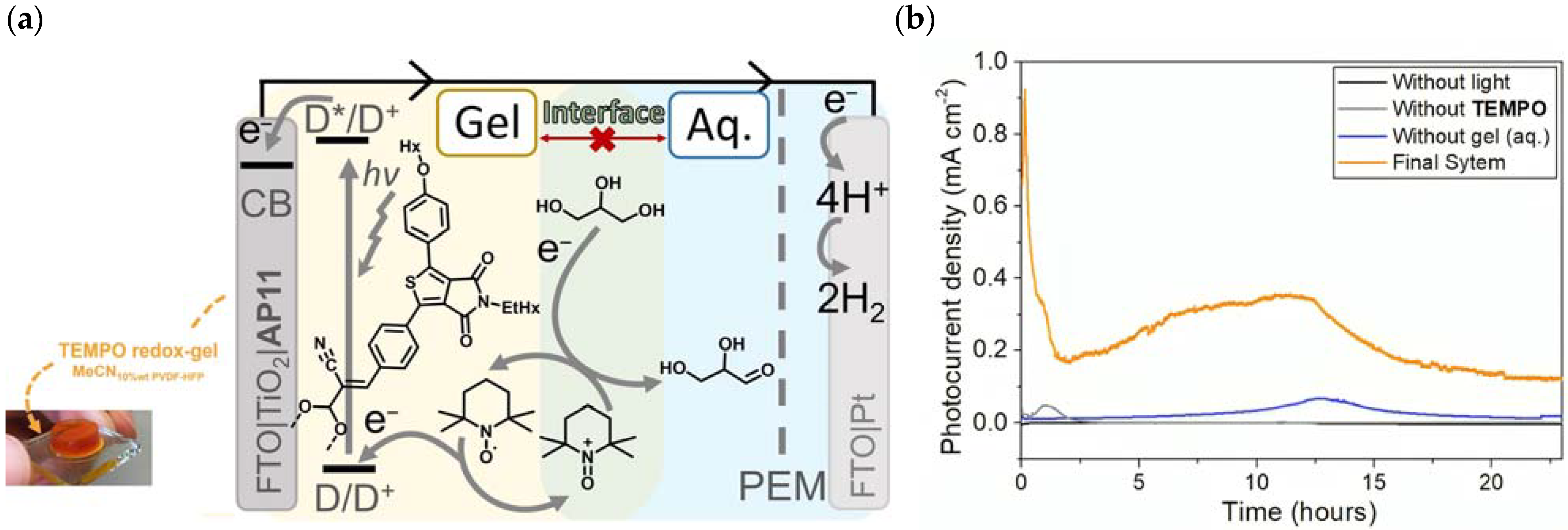 Molecules 29 00293 g031