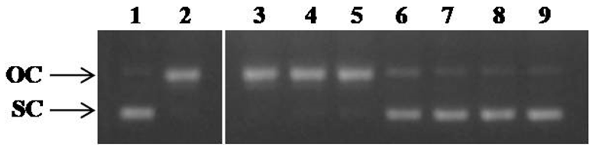 Molecules 29 00299 g004 Molecules 29 00299 g004