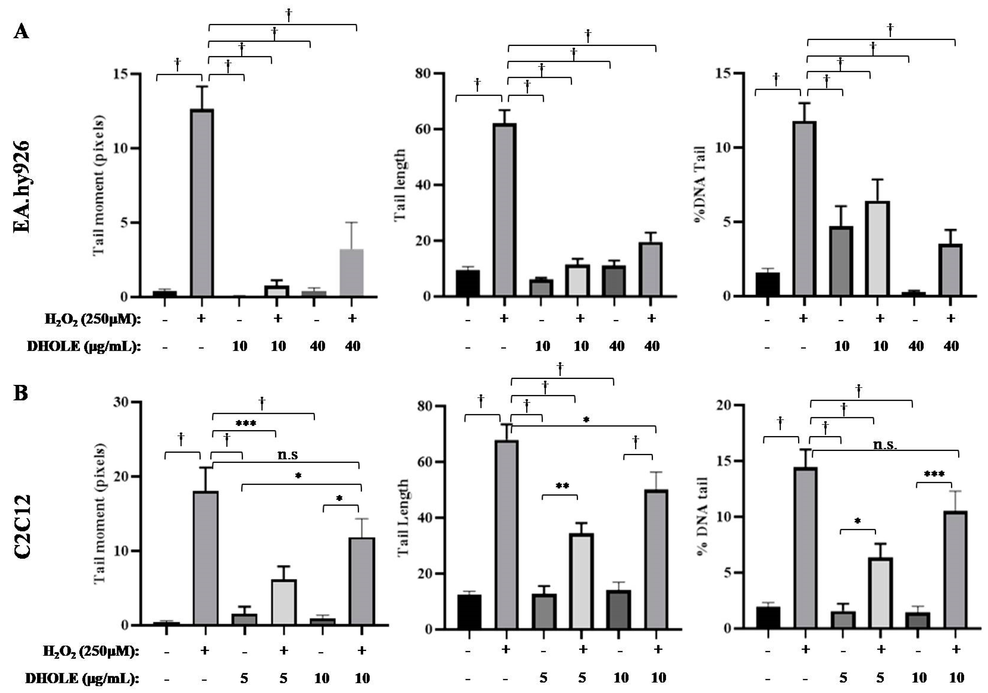 Molecules 29 00299 g006 Molecules 29 00299 g006